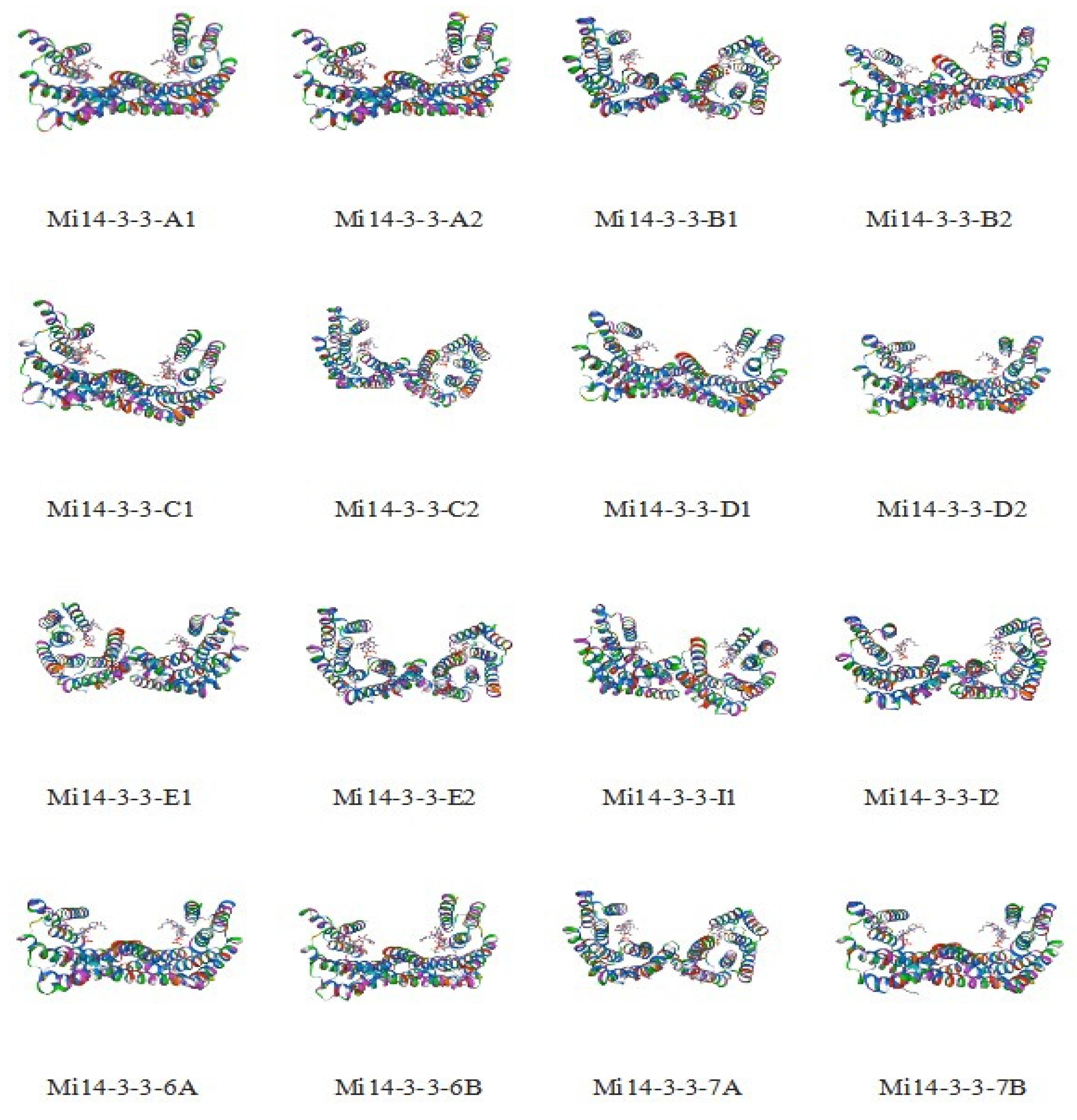 Ijms 23 01593 g001 550