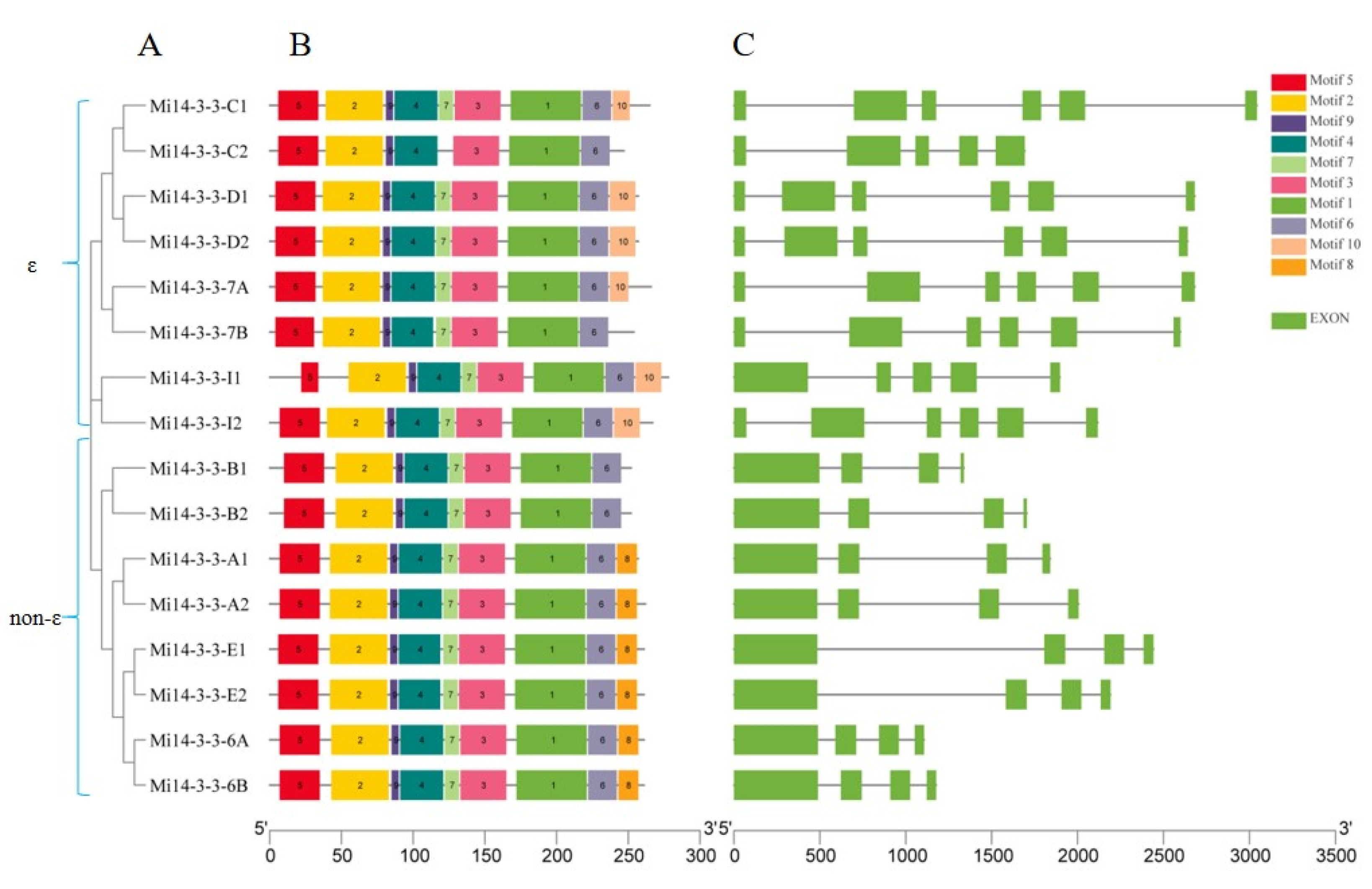 Ijms 23 01593 g003 550