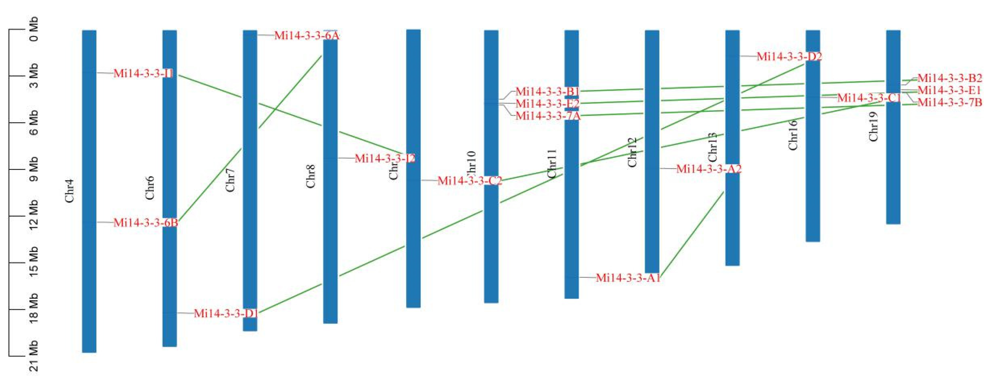 Ijms 23 01593 g004 550