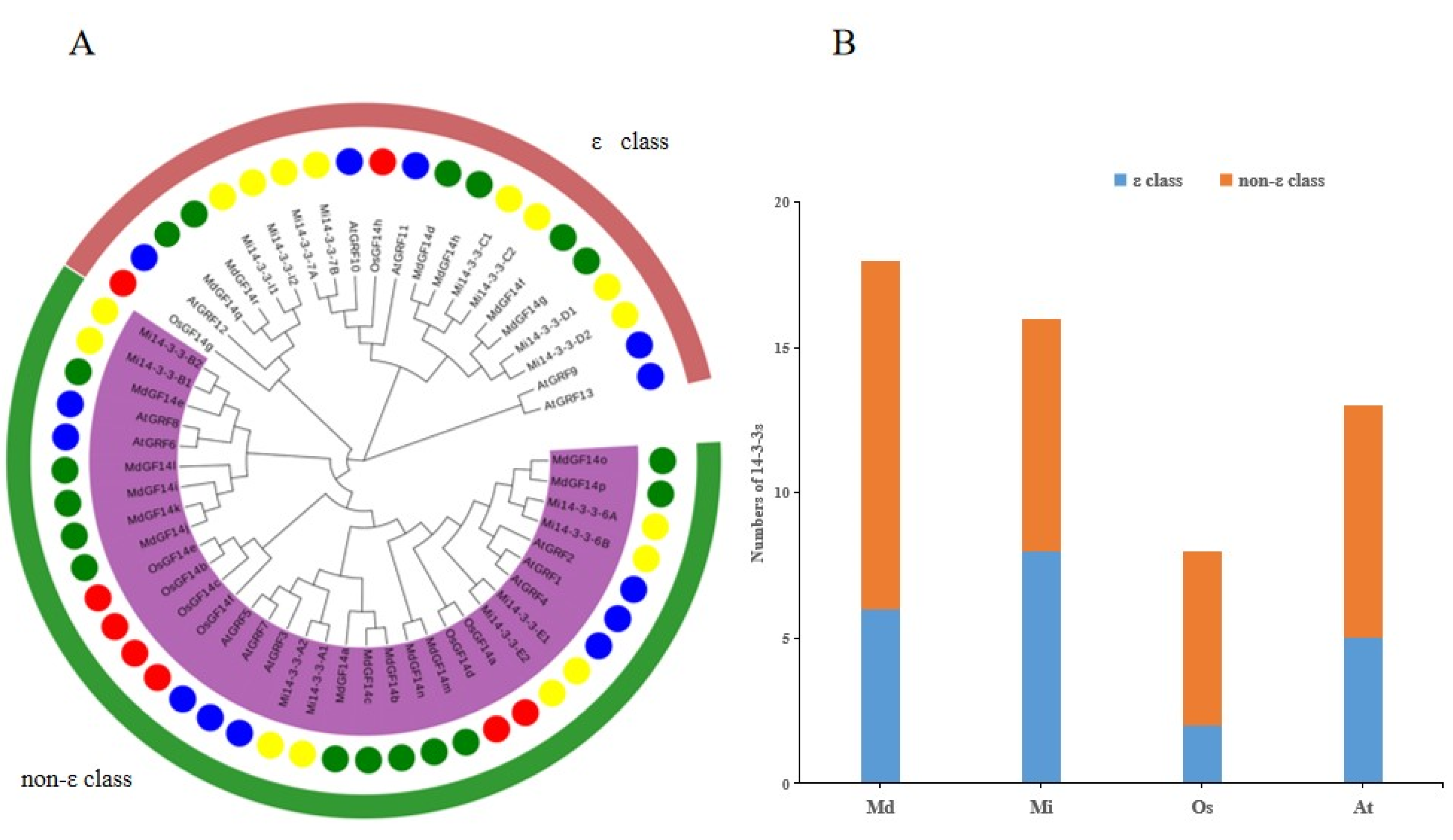 Ijms 23 01593 g005 550