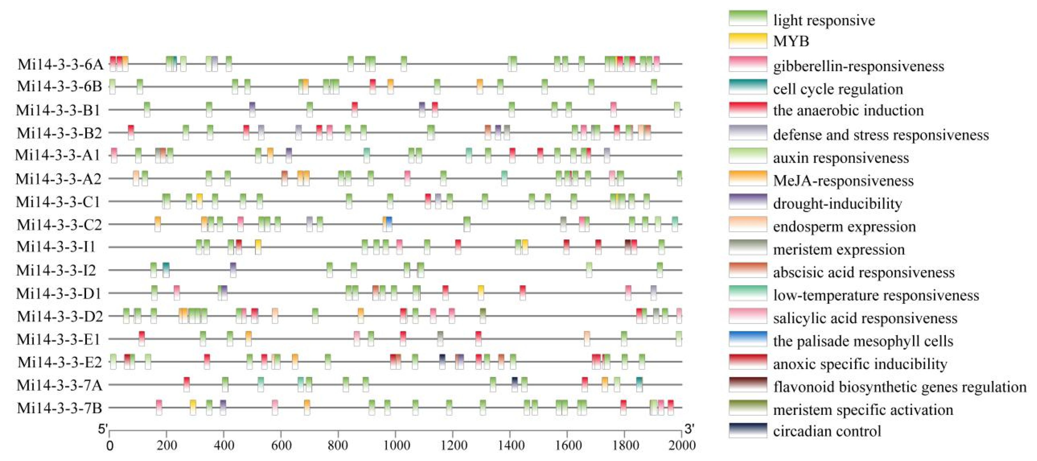 Ijms 23 01593 g006 550