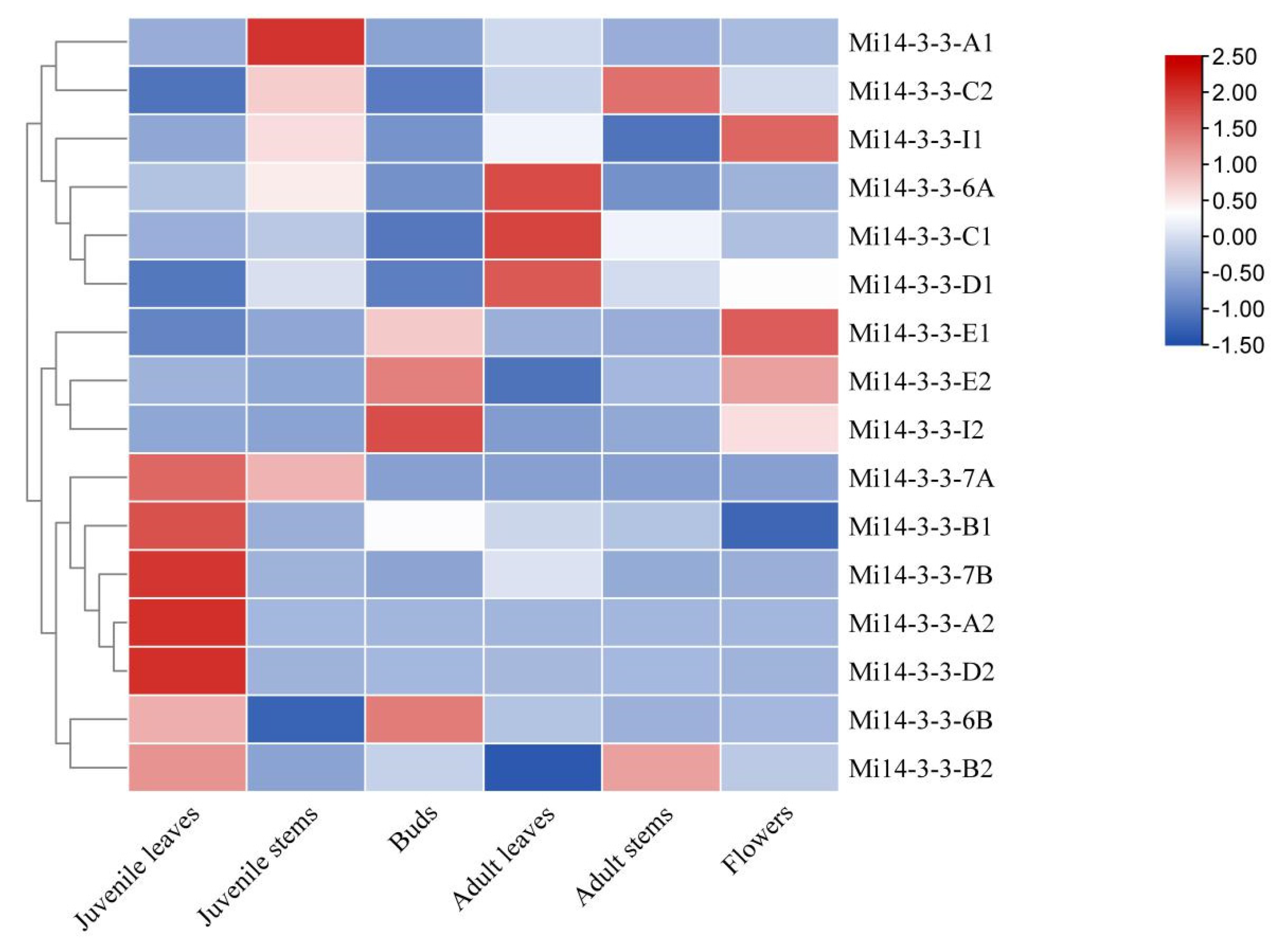 Ijms 23 01593 g008 550