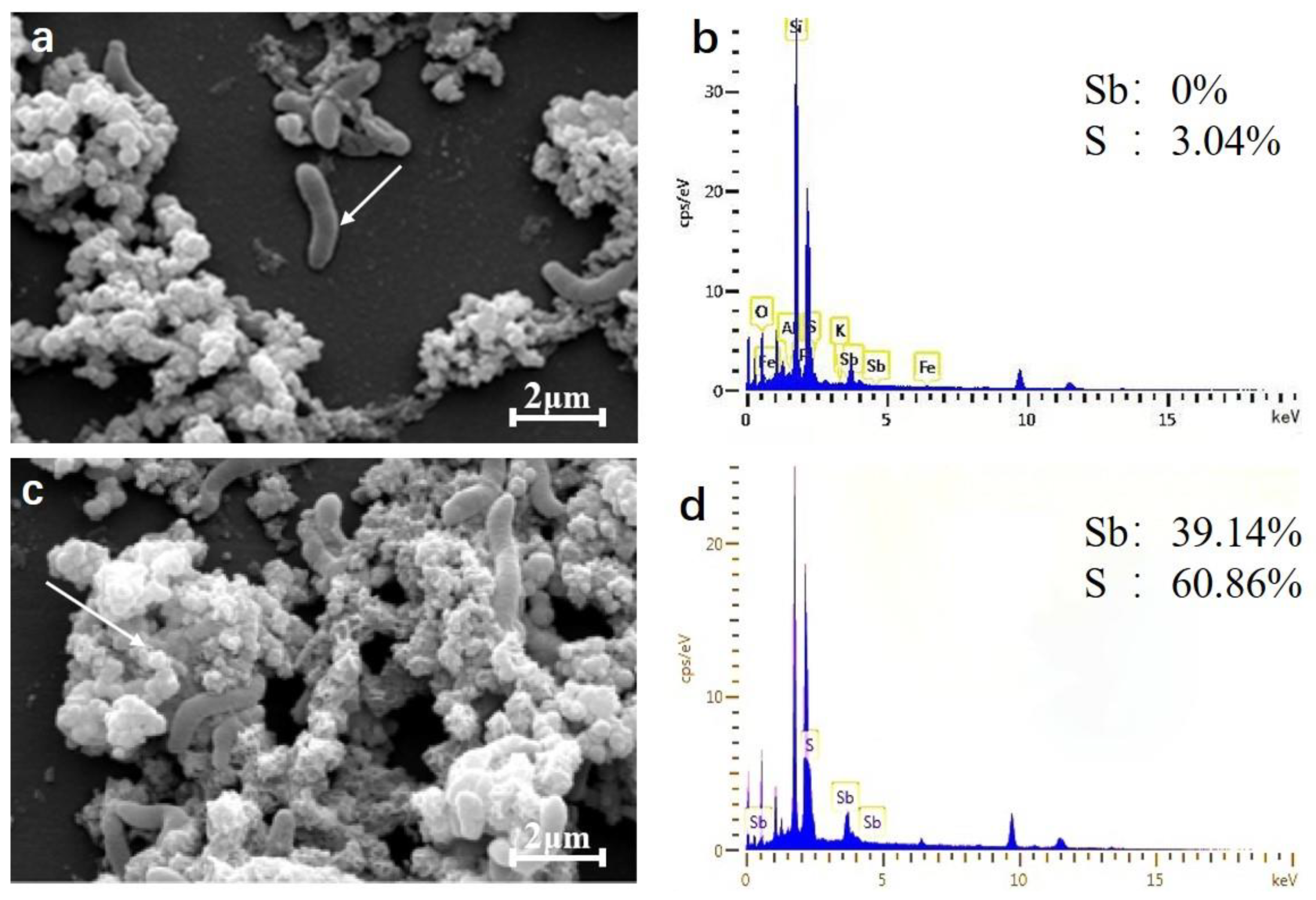 Ijms 23 01594 g006 550