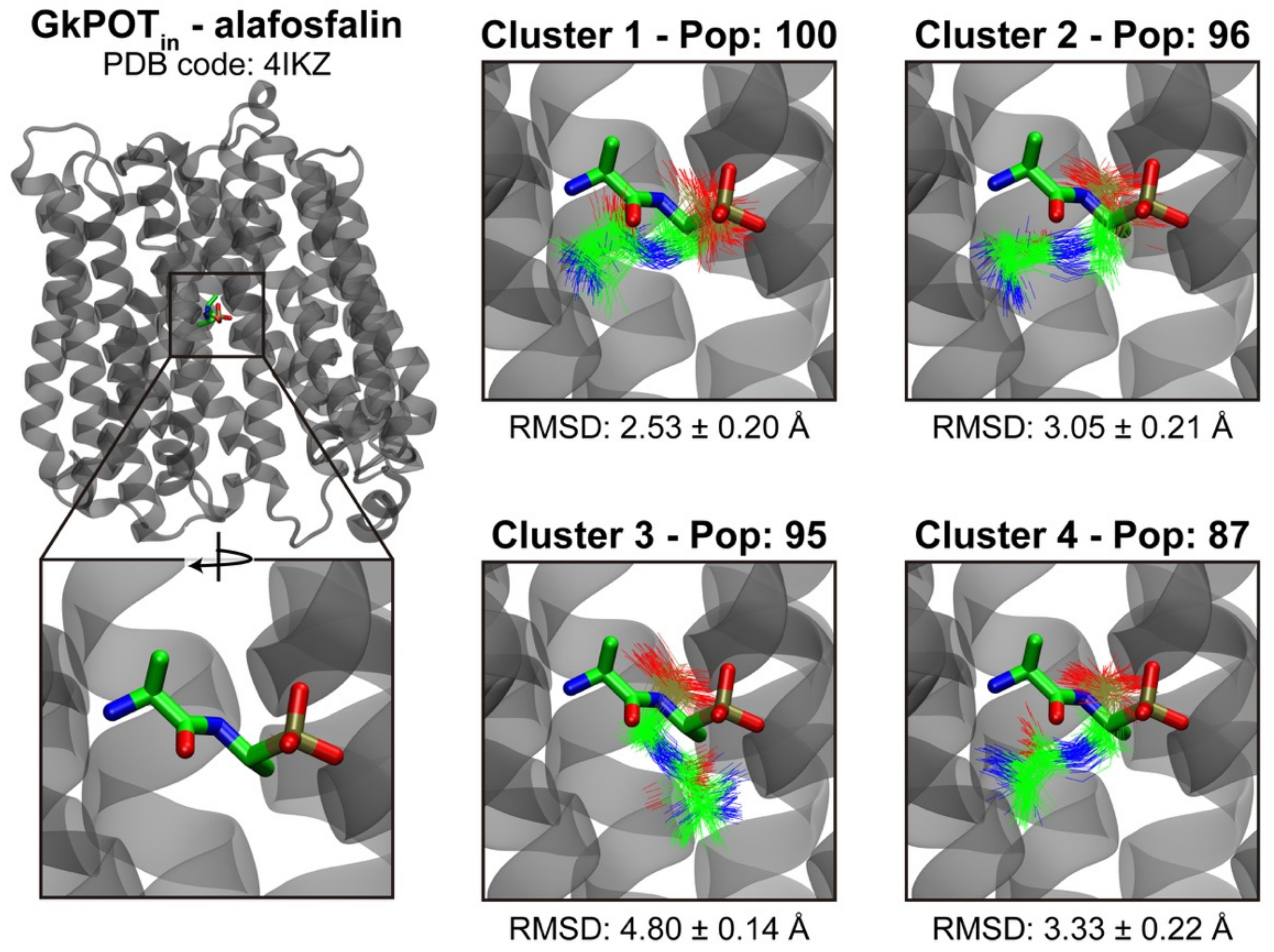 Ijms 23 01595 g004 550