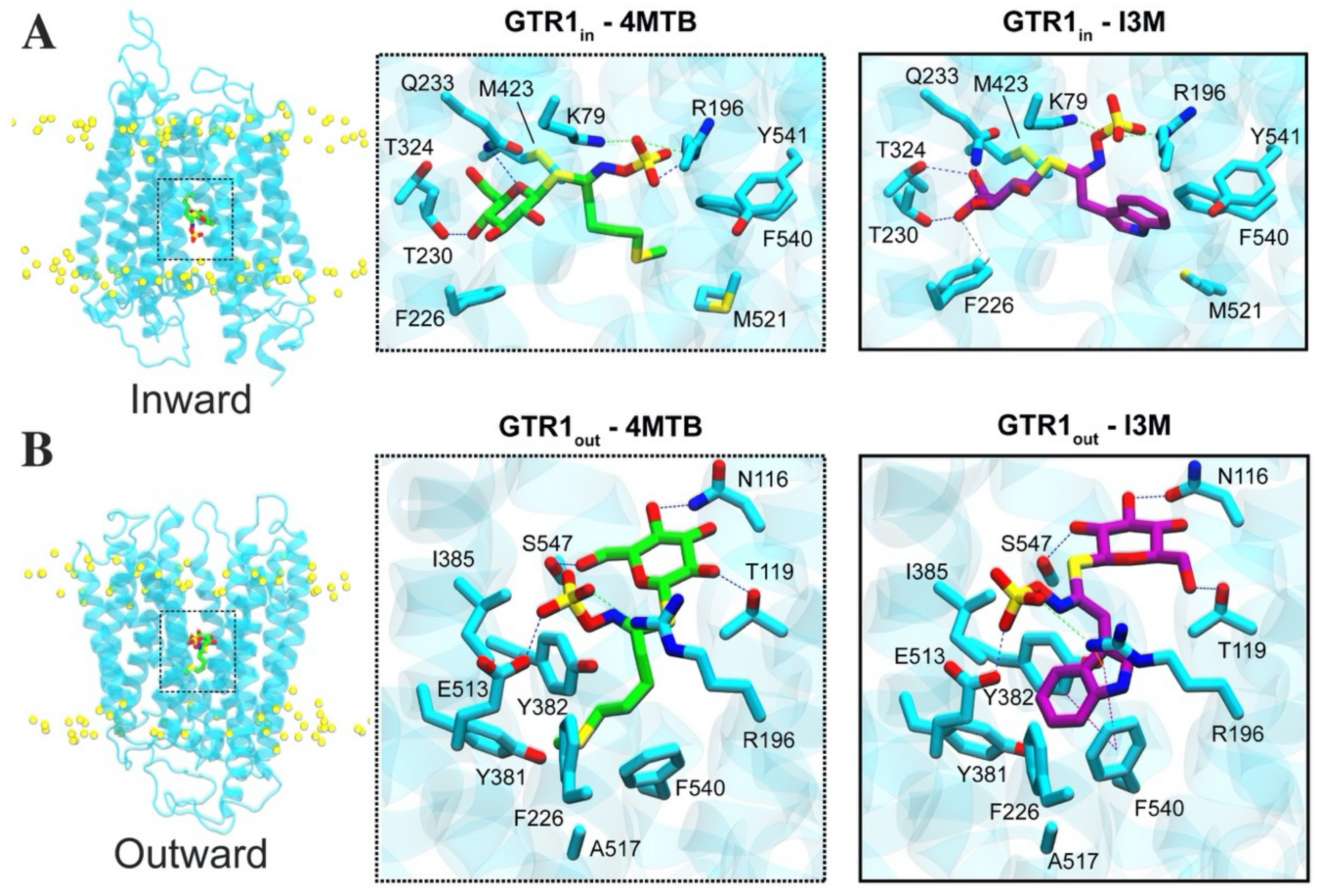 Ijms 23 01595 g006 550