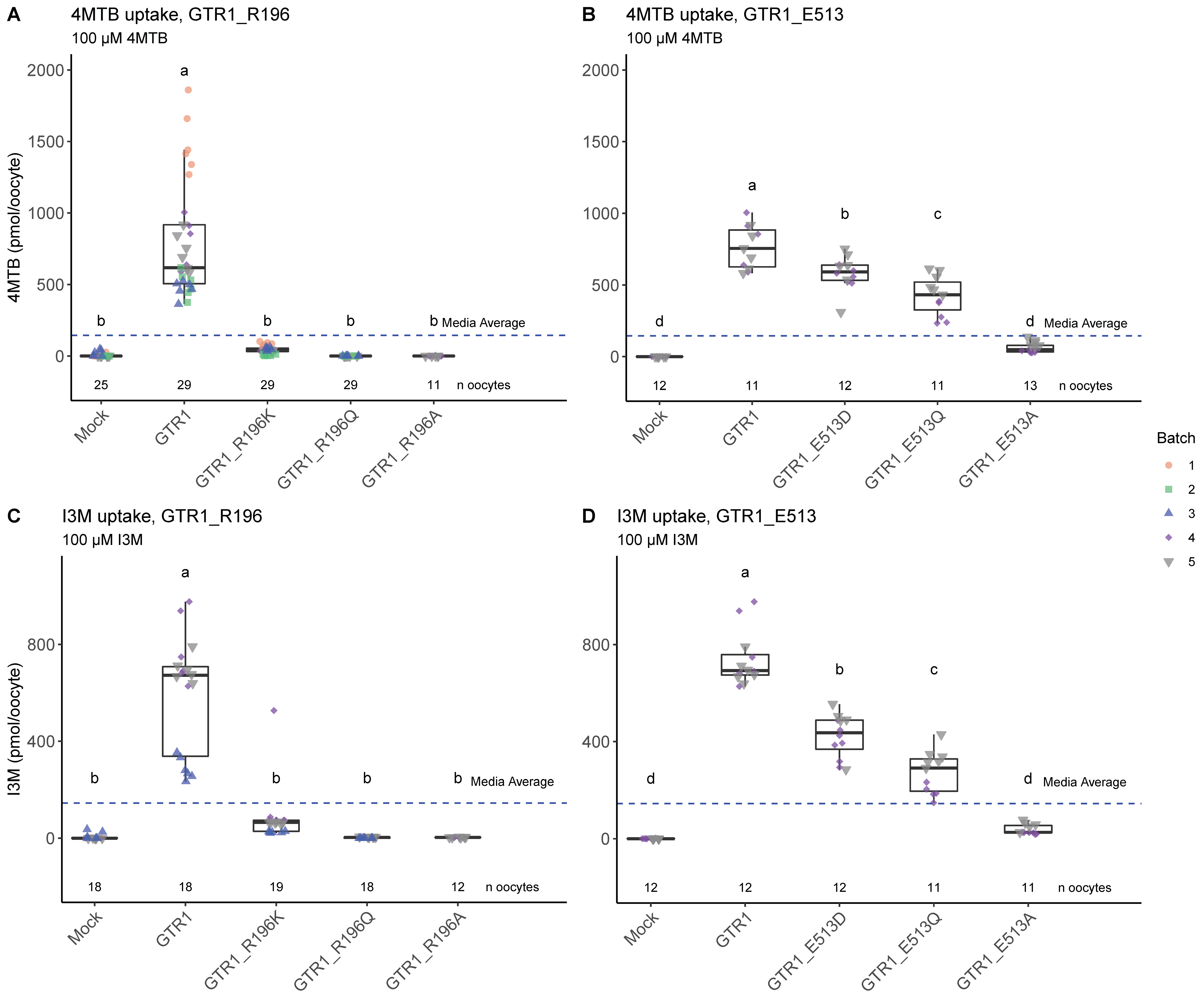 Ijms 23 01595 g007 550