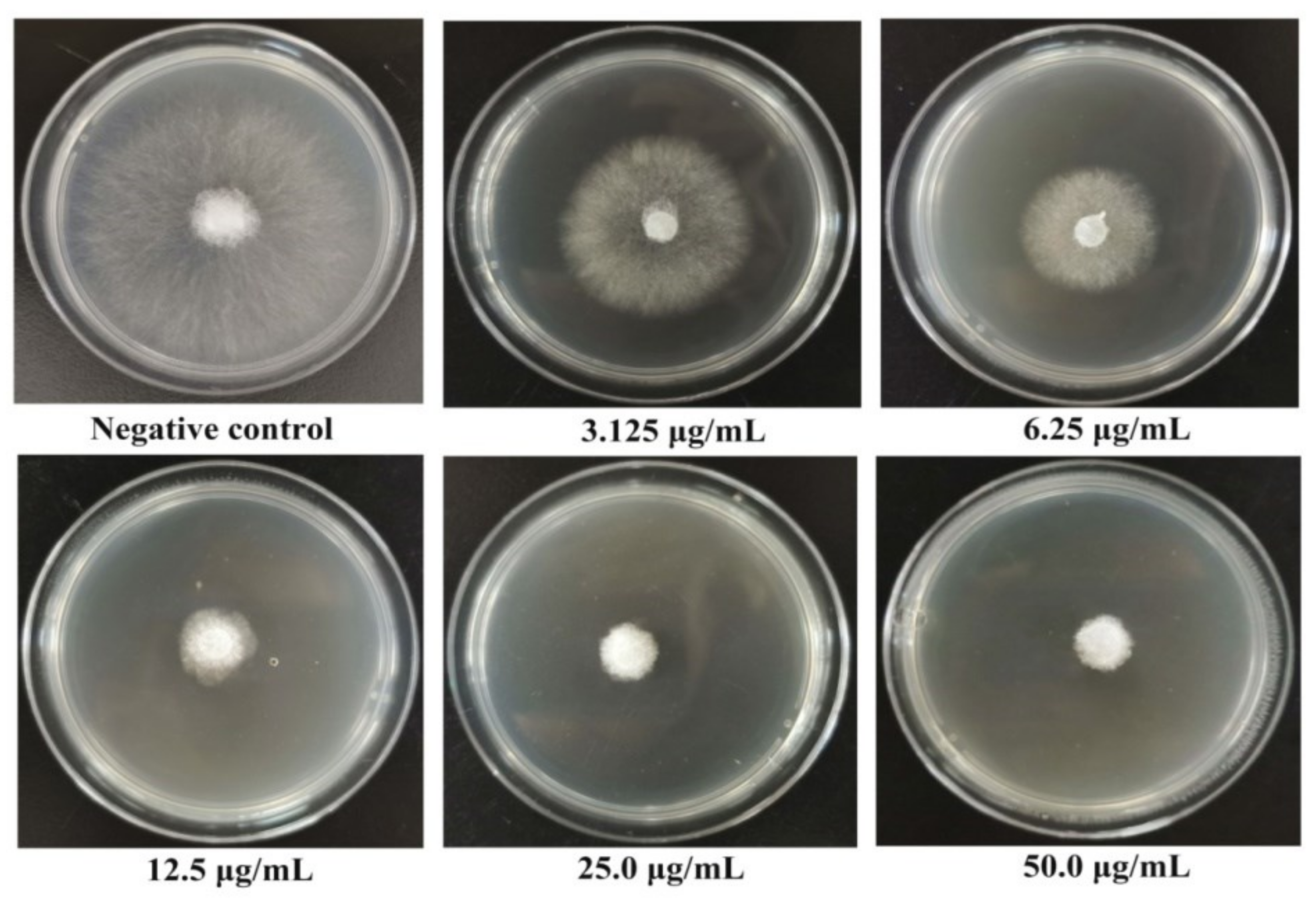 Ijms 23 01596 g003 550