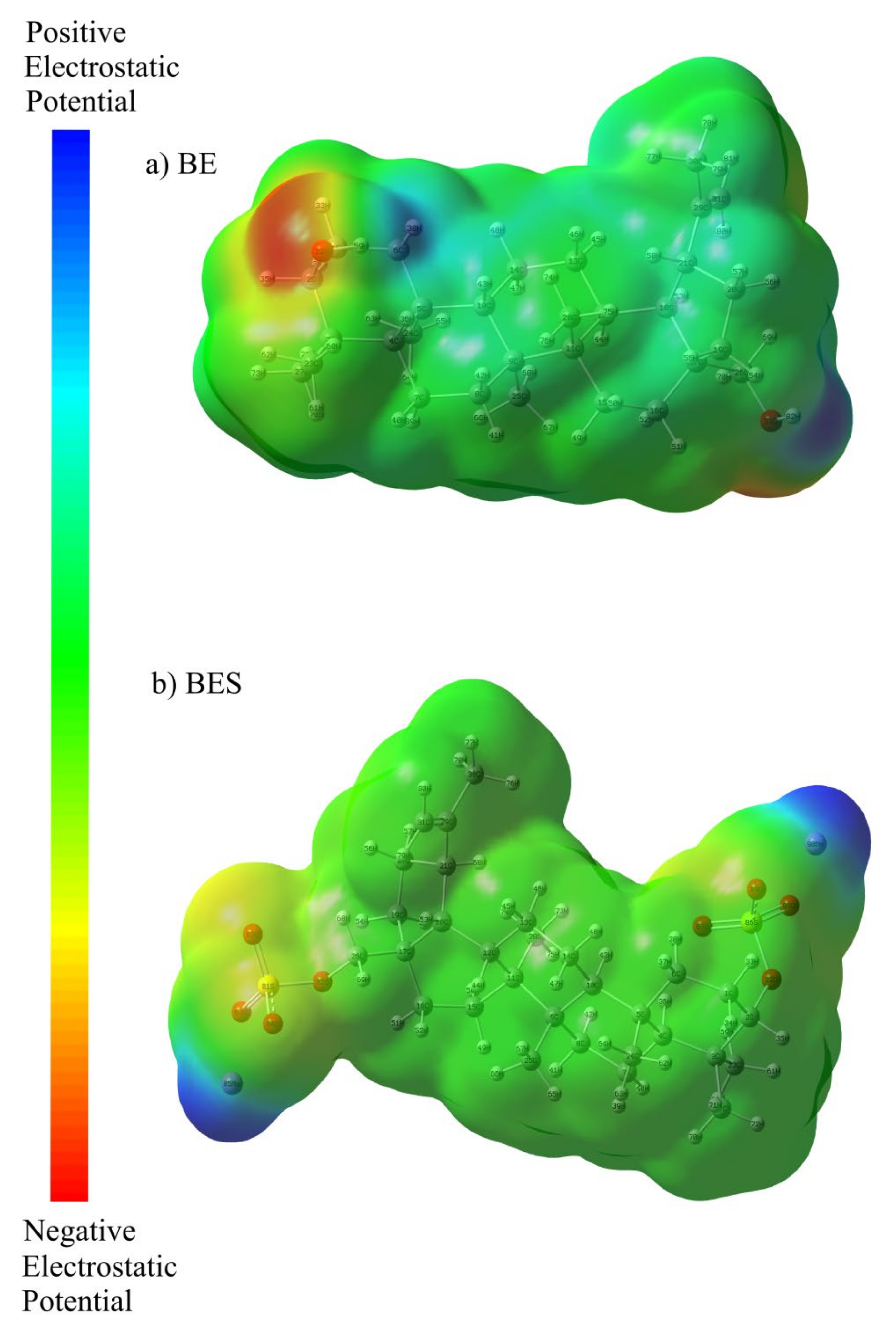 Ijms 23 01602 g007 550