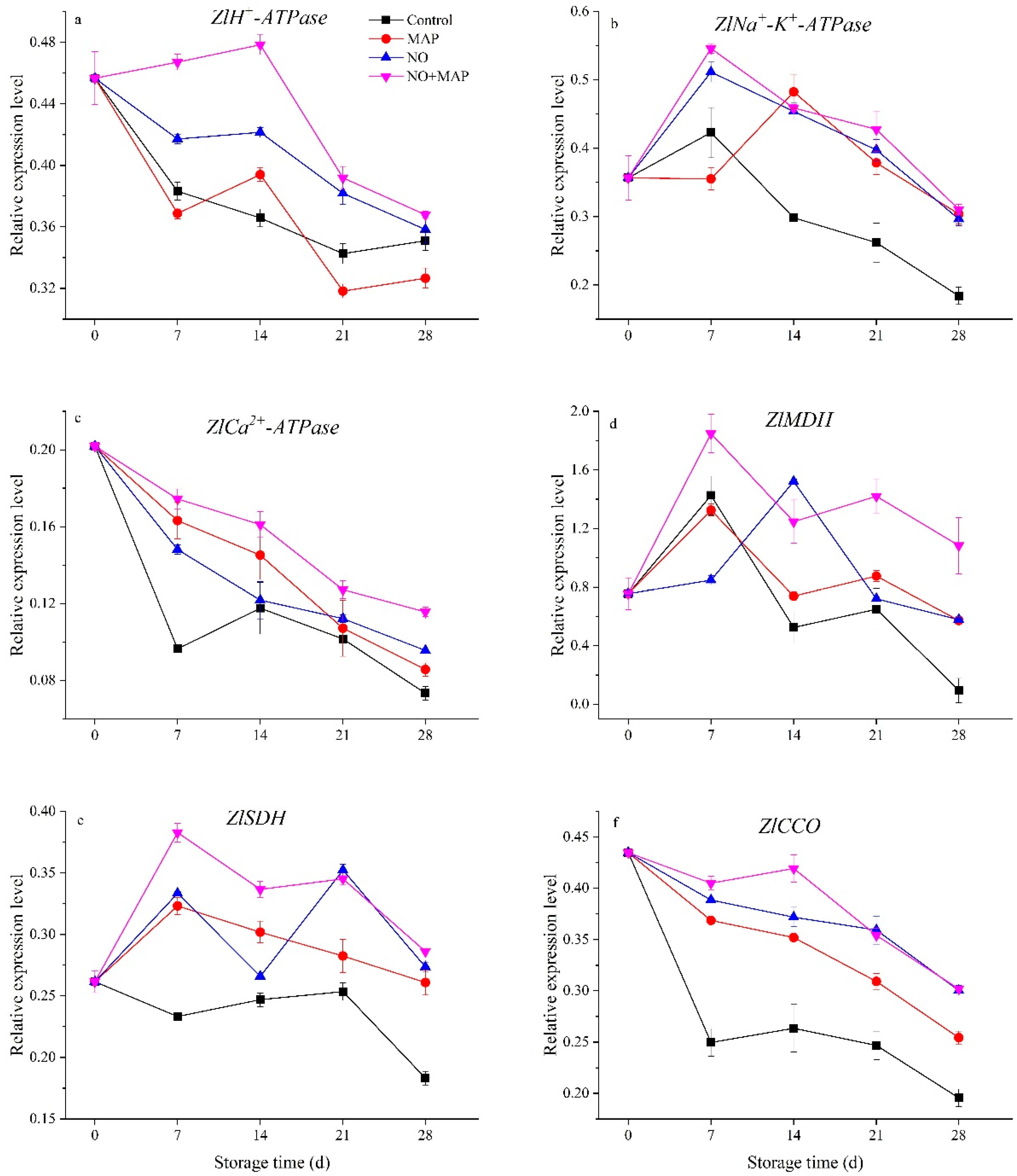 Ijms 23 01607 g007 550