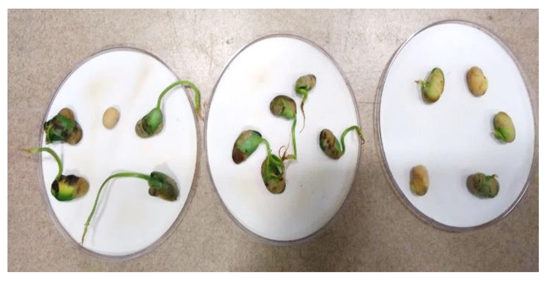 Ijms 23 01611 g003 550