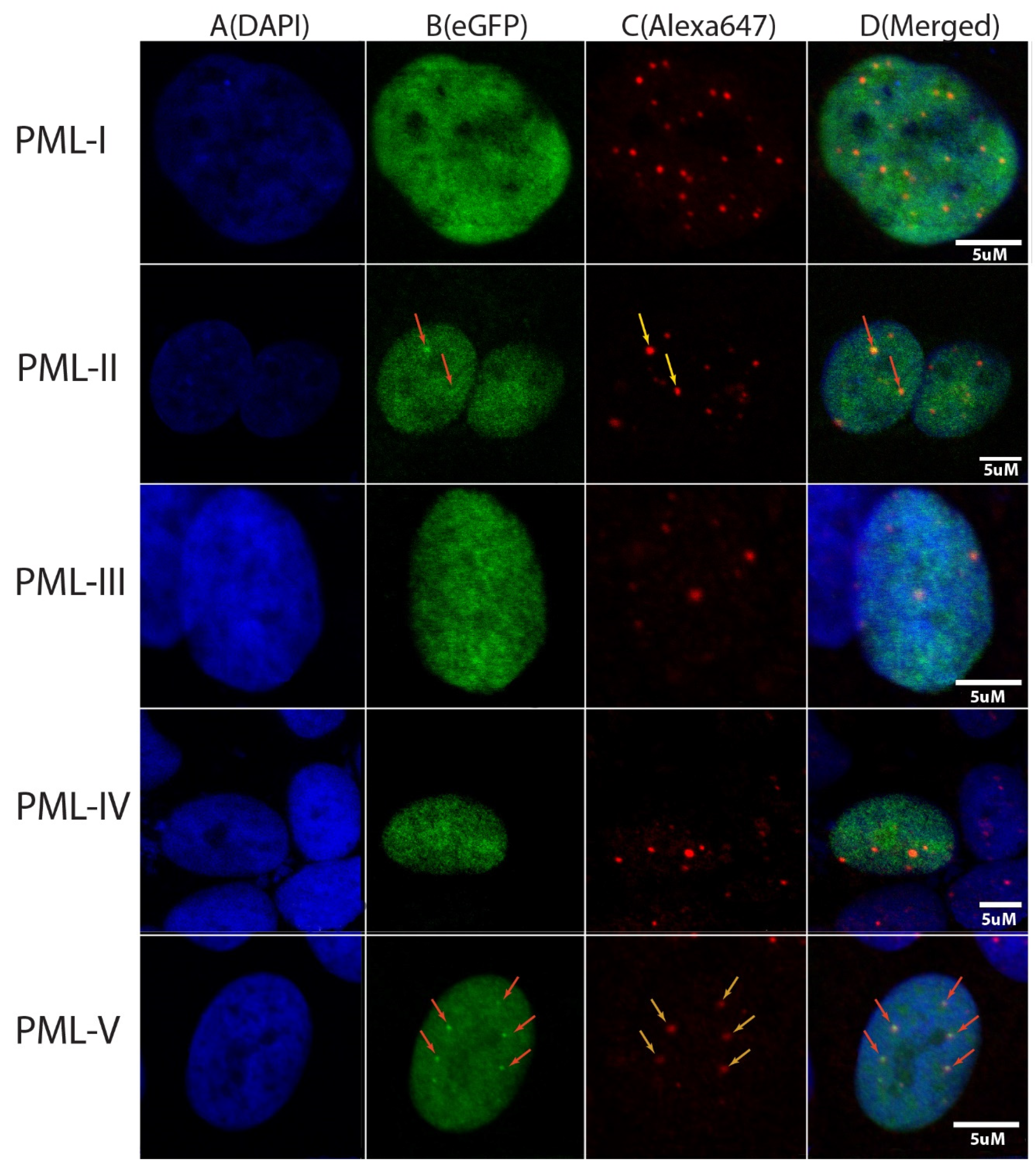 Ijms 23 01613 g002 550