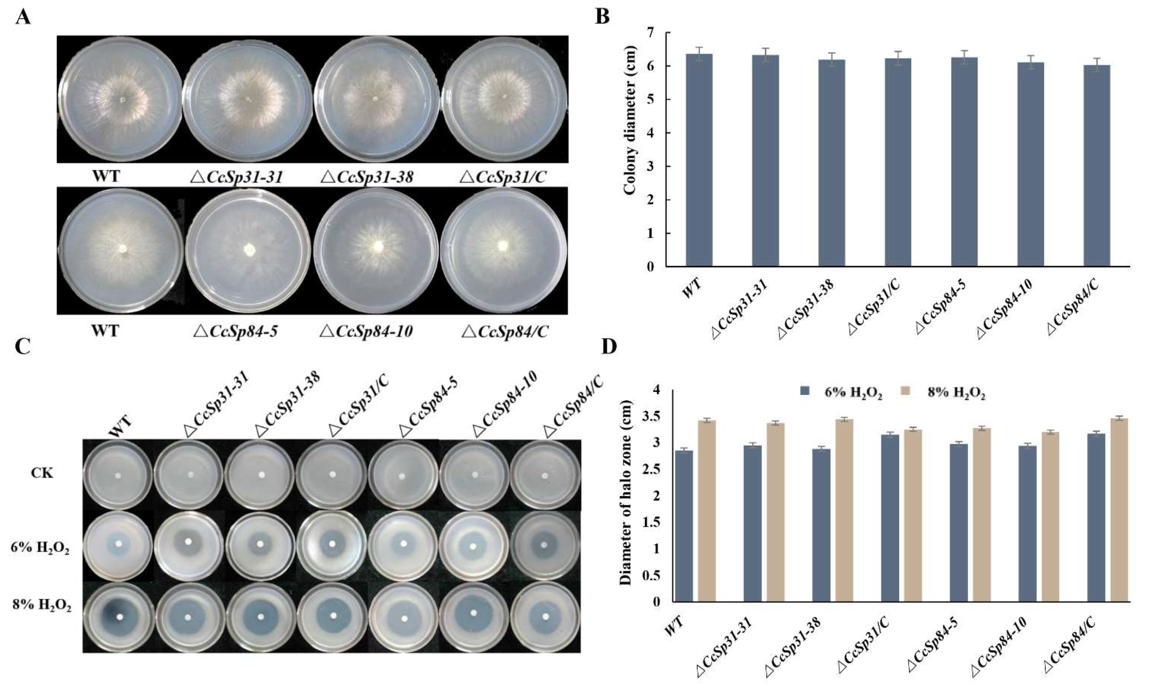 Ijms 23 01614 g004 550