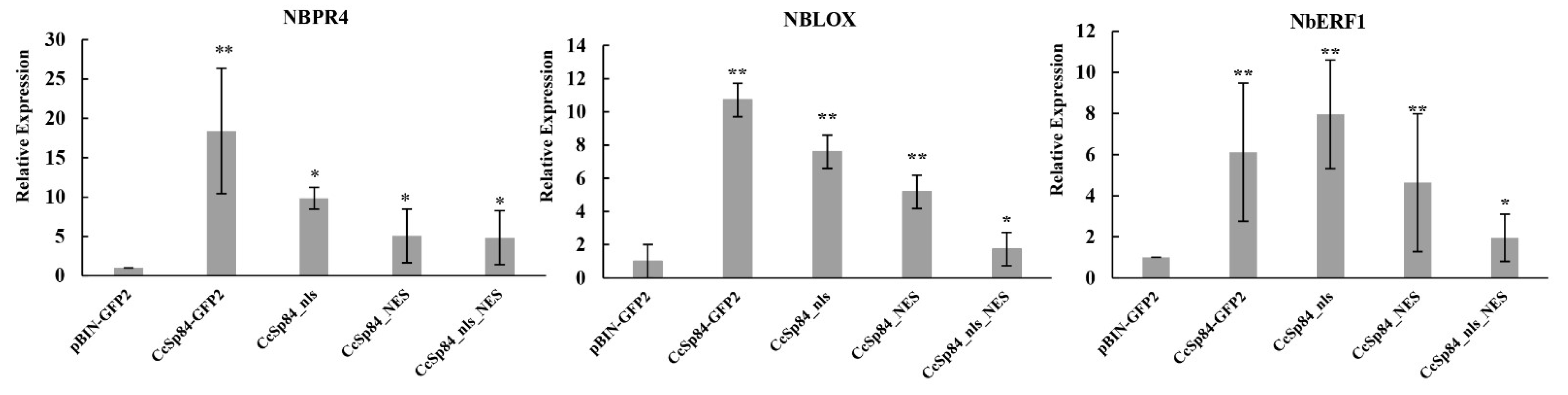 Ijms 23 01614 g007 550