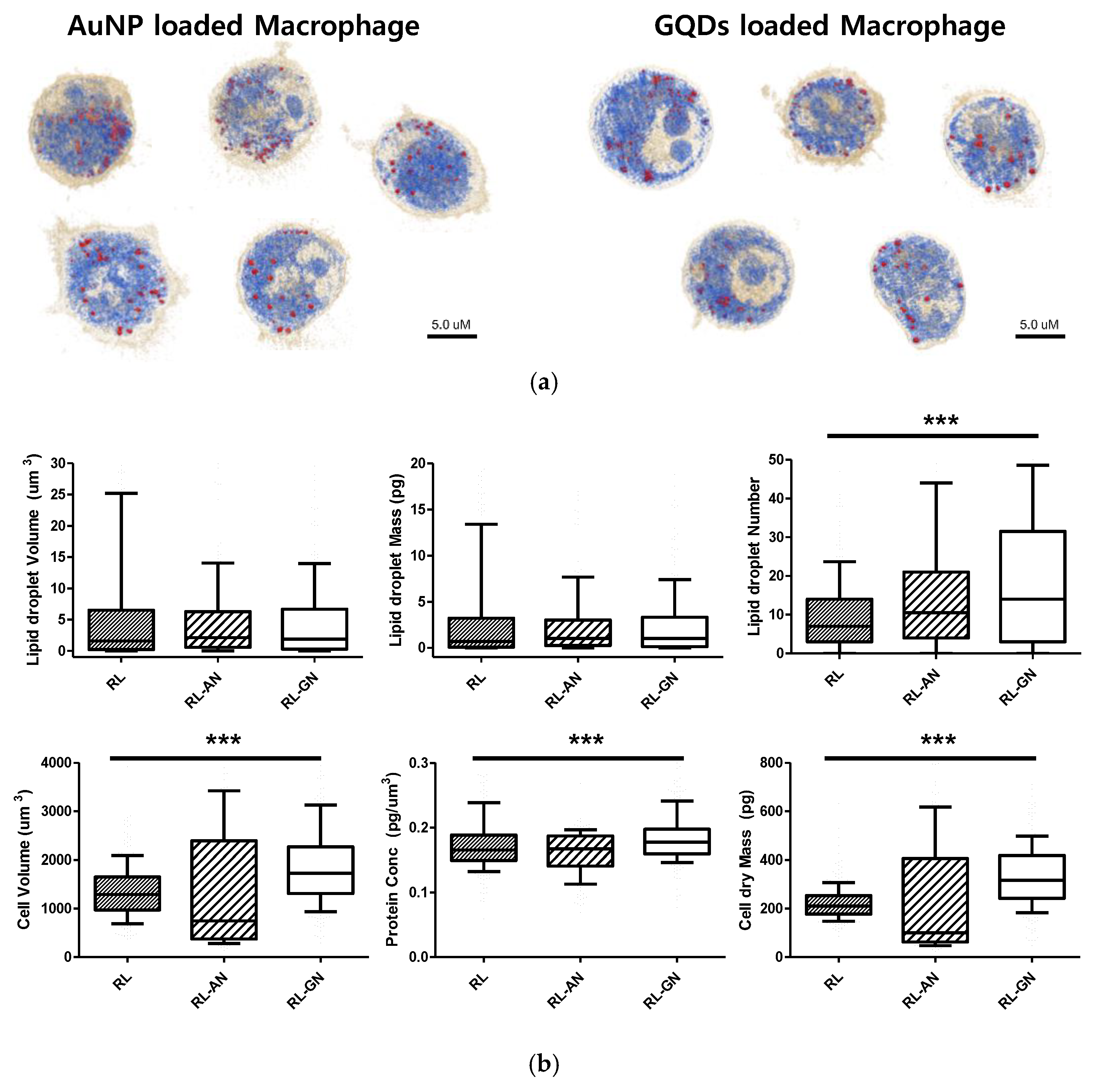 Ijms 23 01622 g004 550