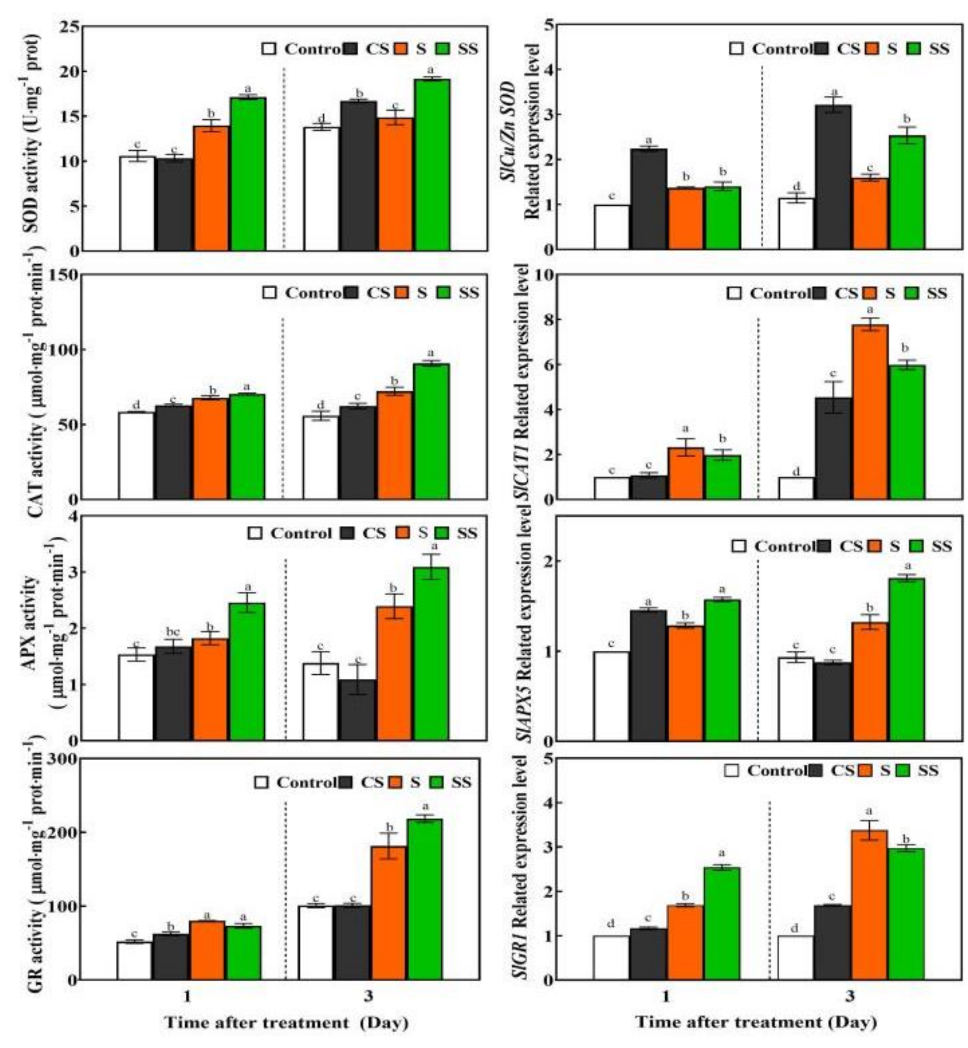 Ijms 23 01625 g002 Ijms 23 01625 g002