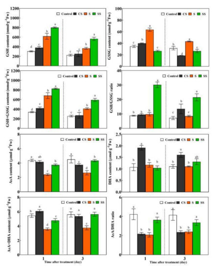 Polyamine Oxidase Triggers H2O2-Mediated Spermidine Improved