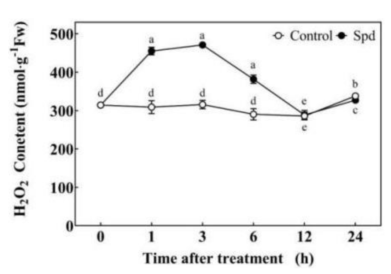 Ijms 23 01625 g004 Ijms 23 01625 g004
