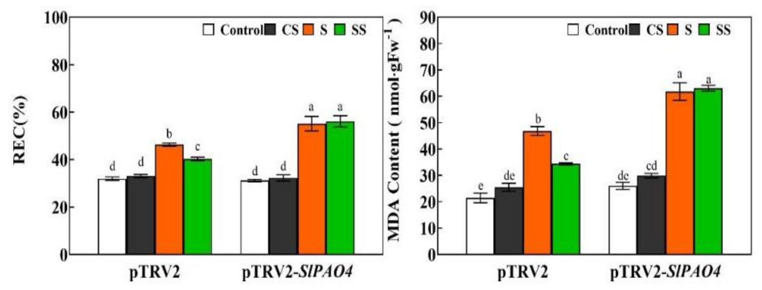 Ijms 23 01625 g008 Ijms 23 01625 g008