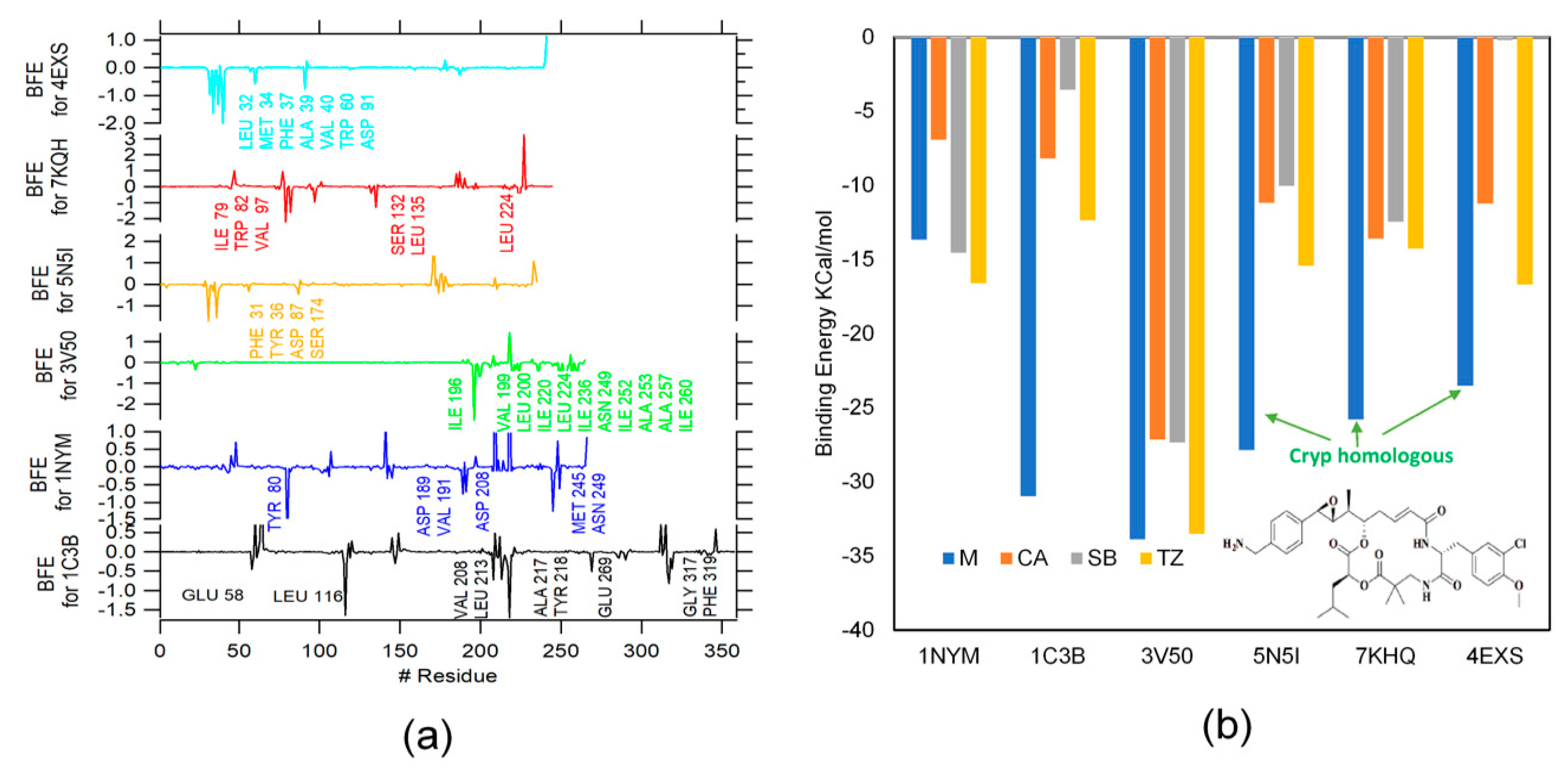 Ijms 23 01630 g003 550