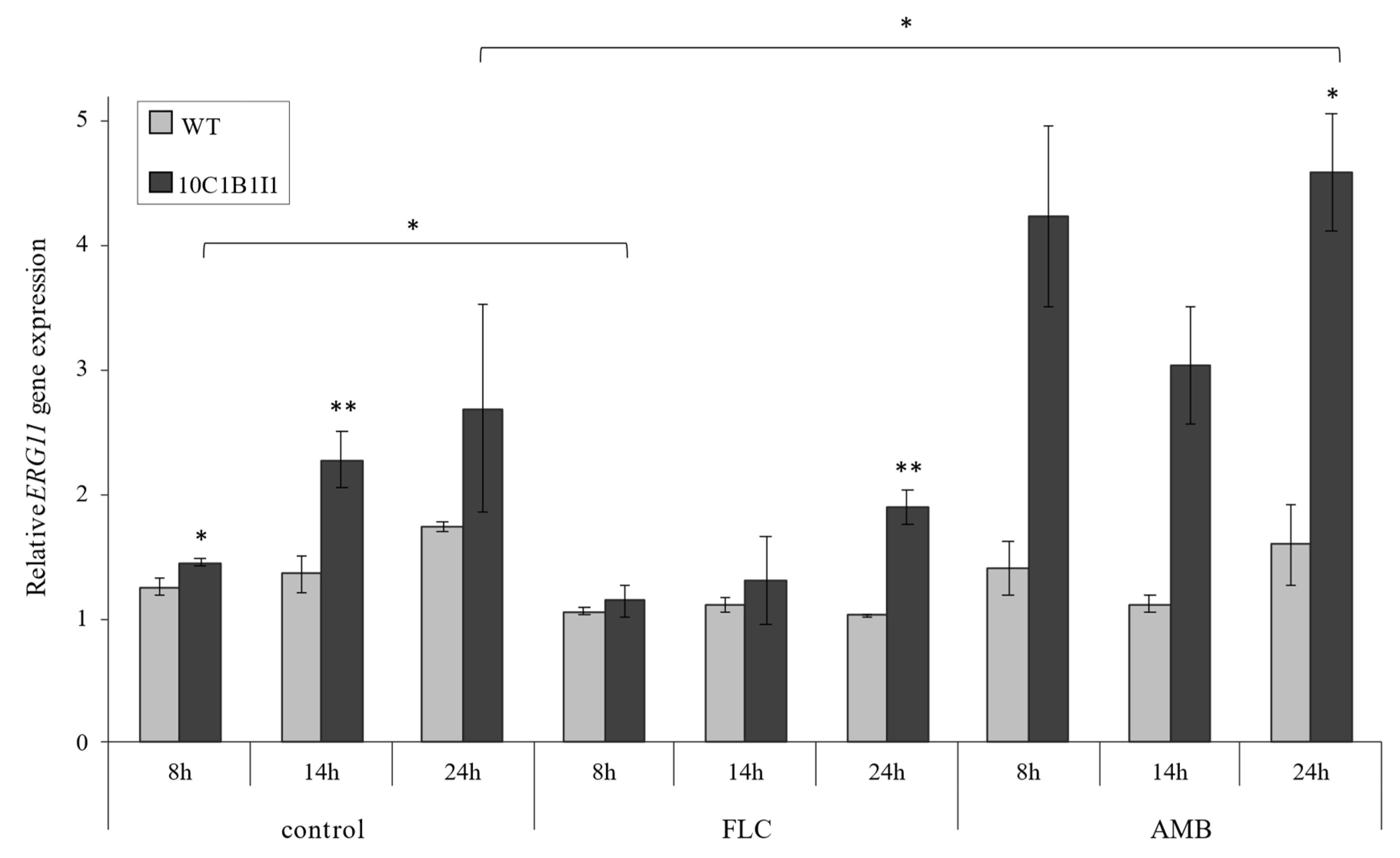 Ijms 23 01631 g002 Ijms 23 01631 g002