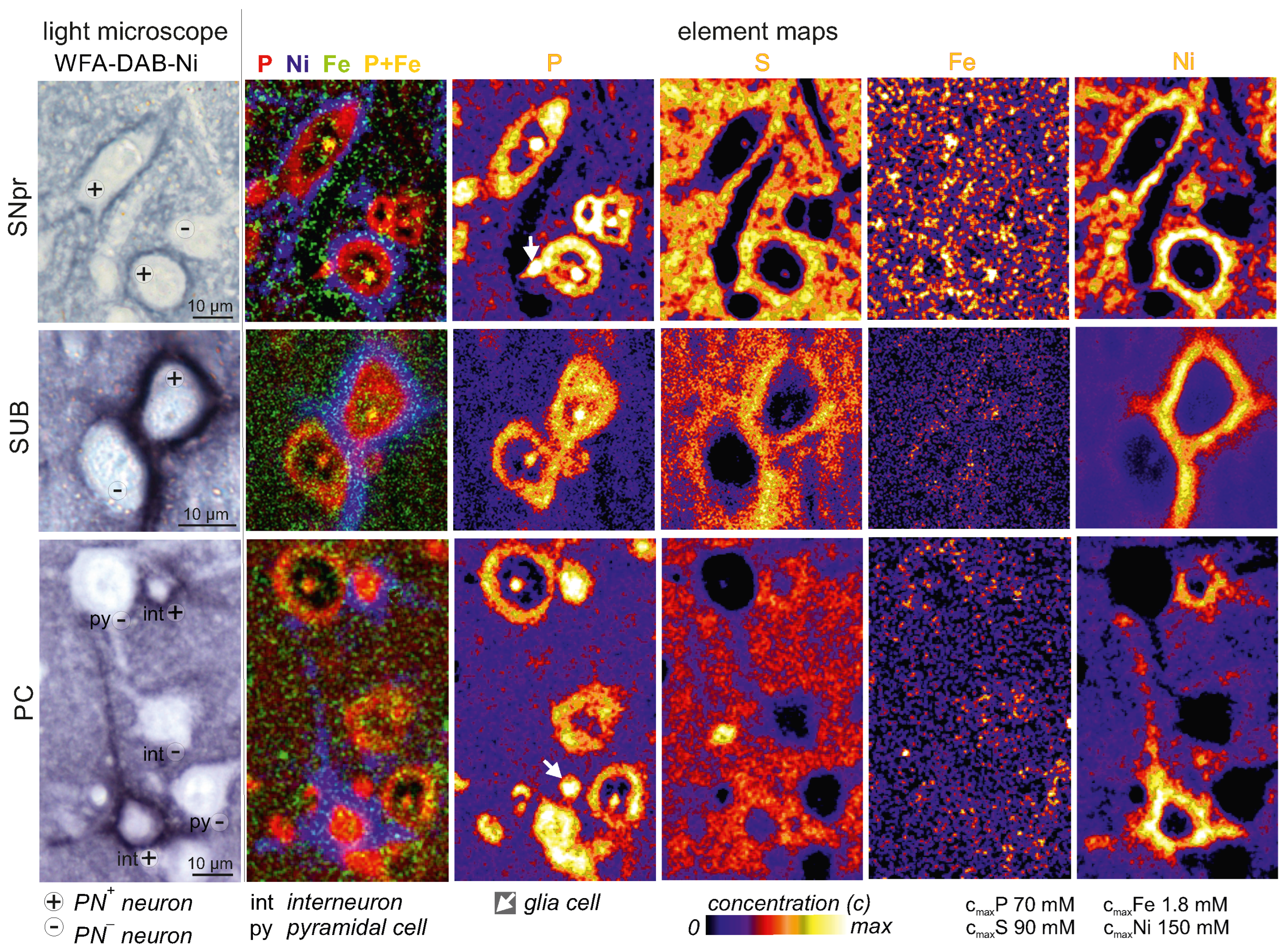 Ijms 23 01634 g001 550