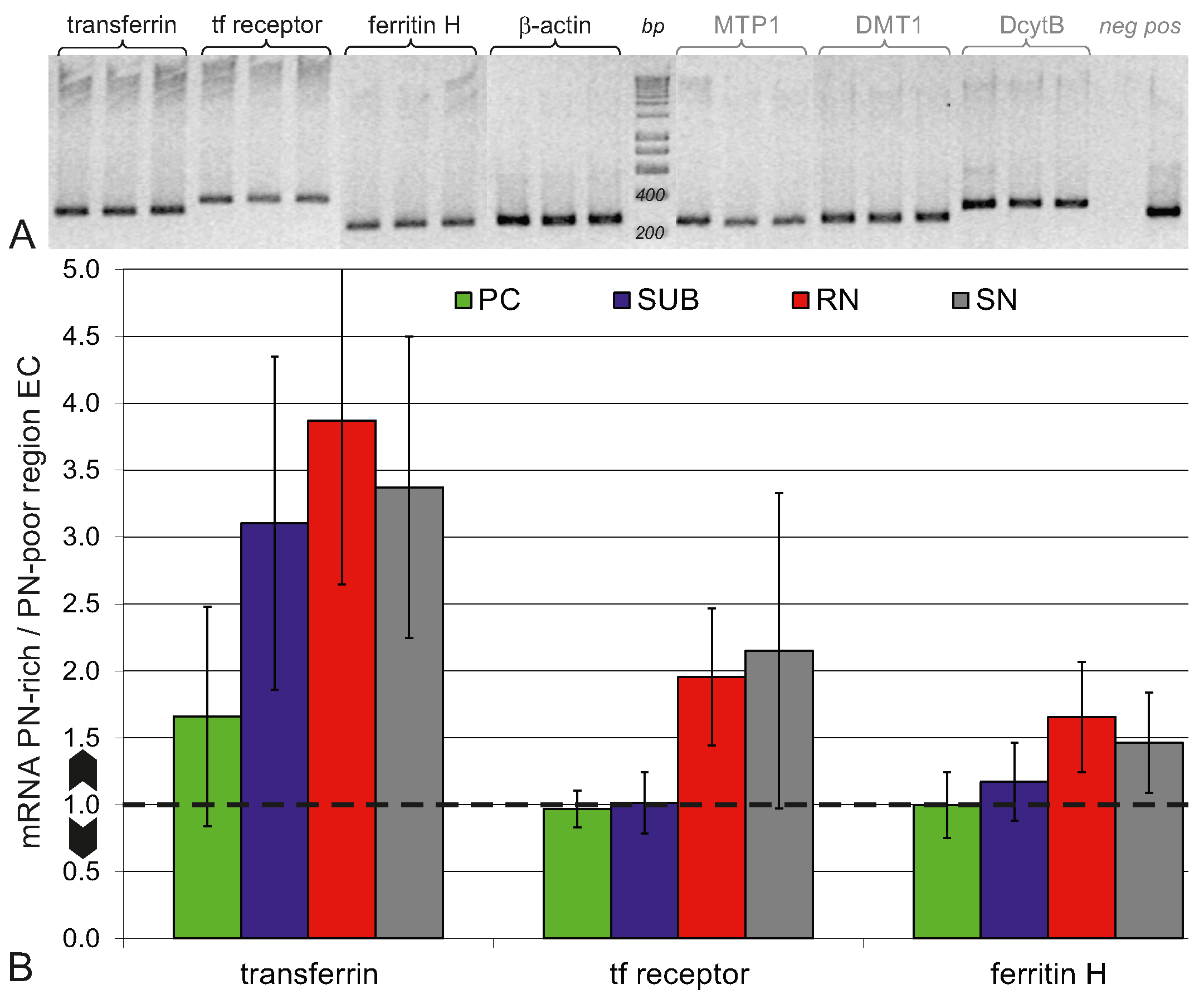 Ijms 23 01634 g007 550