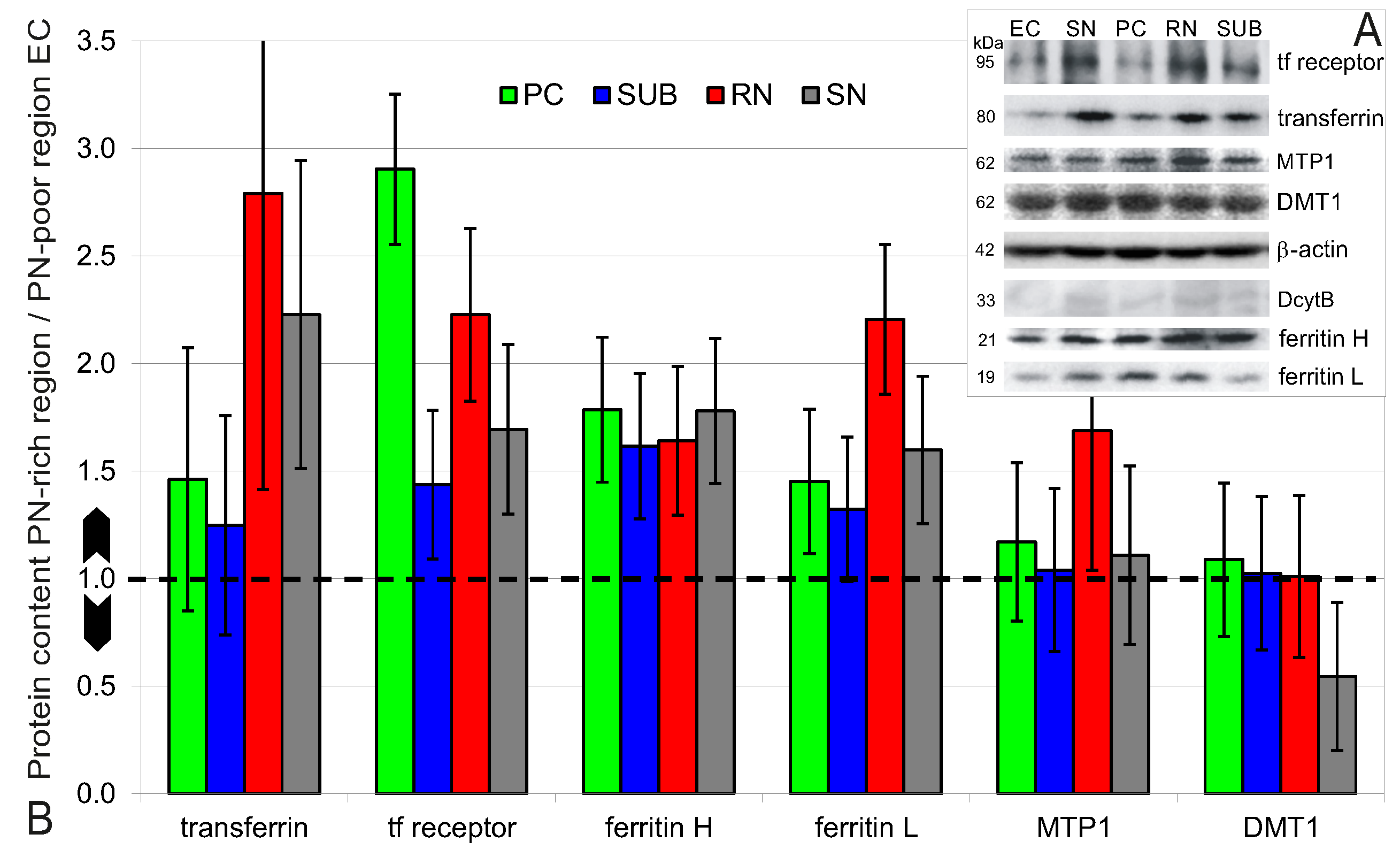 Ijms 23 01634 g008 550