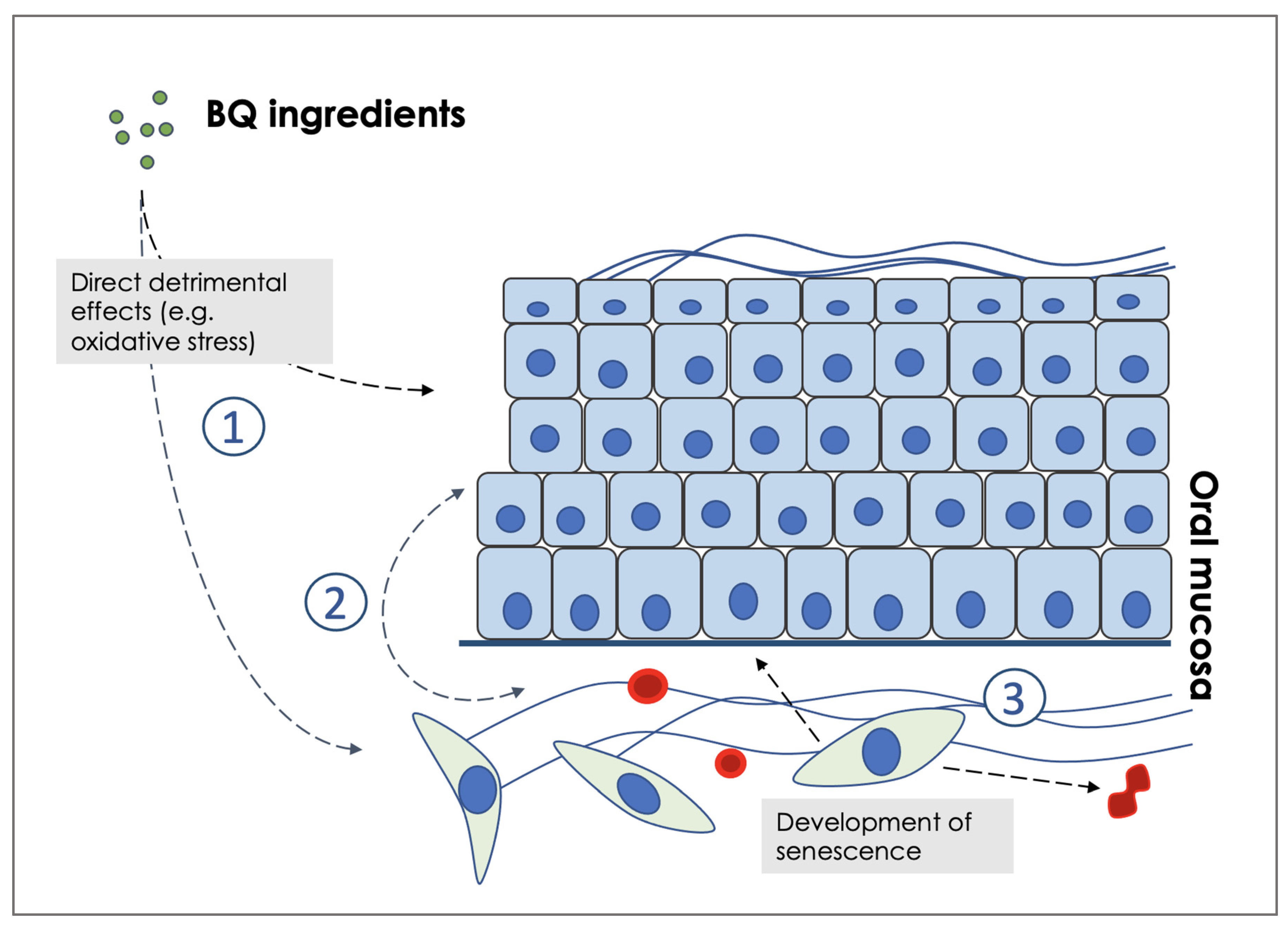 Ijms 23 01637 g001 Ijms 23 01637 g001