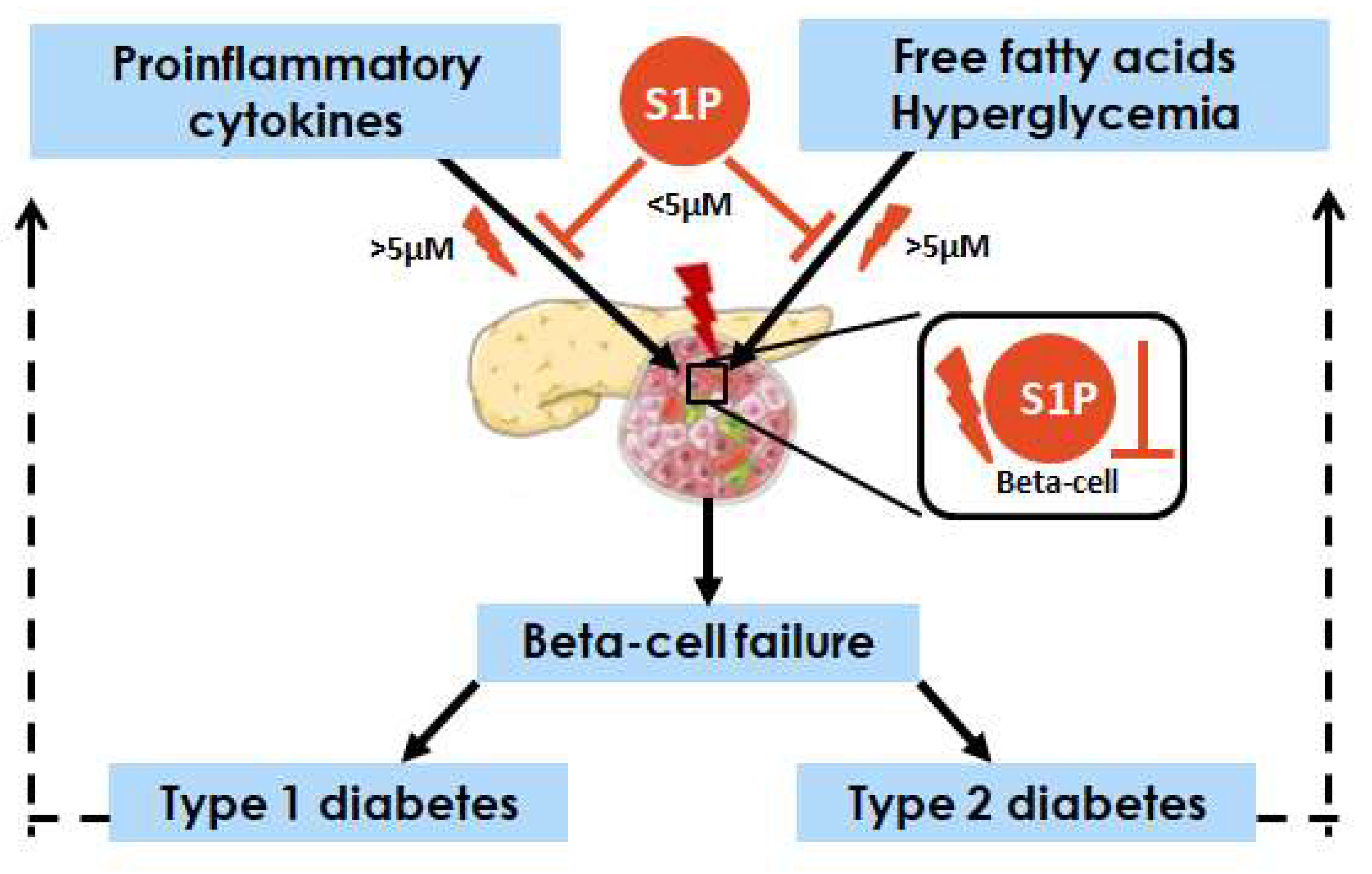 Ijms 23 01638 g002 Ijms 23 01638 g002