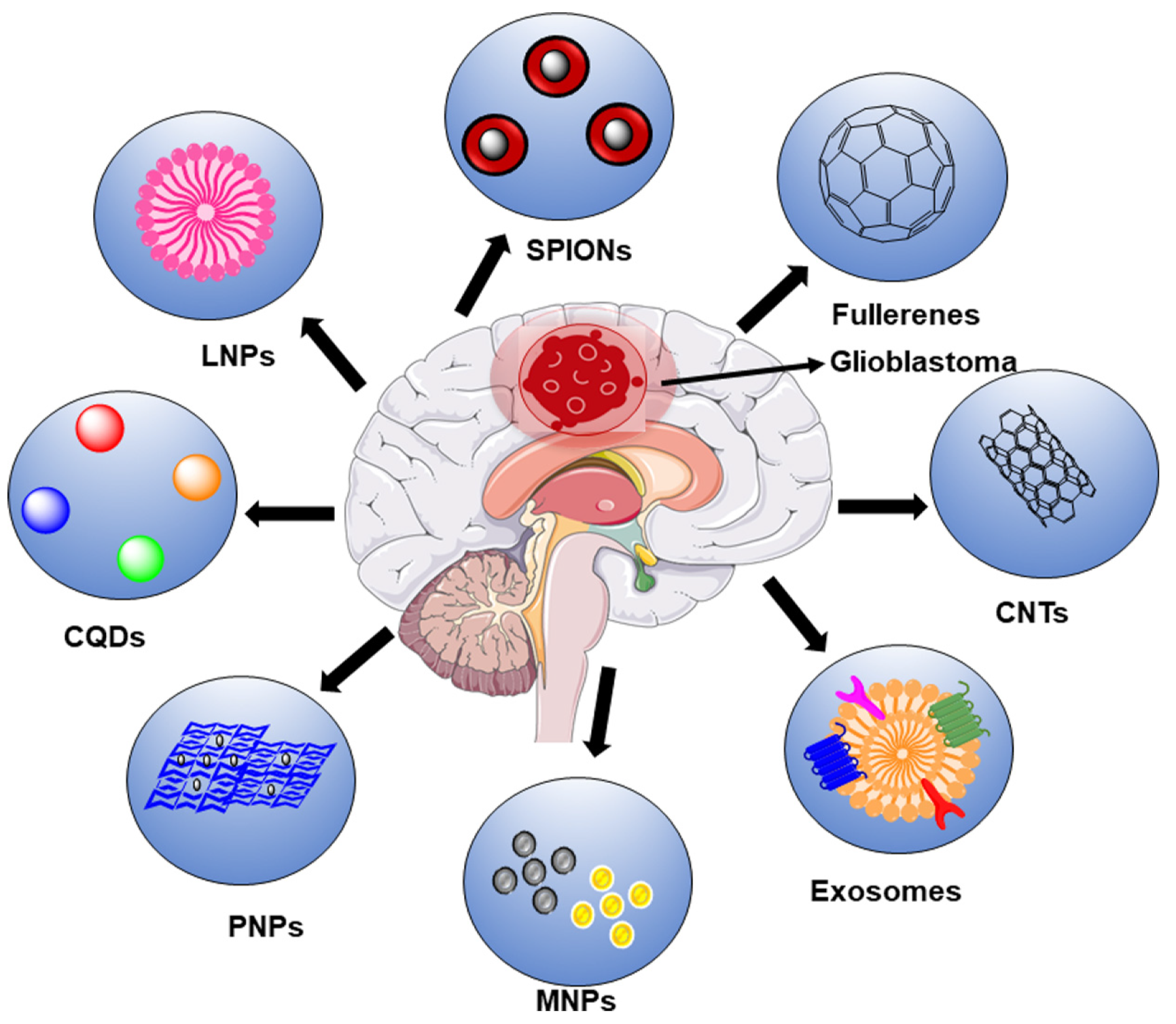 Ijms 23 01641 g003 550