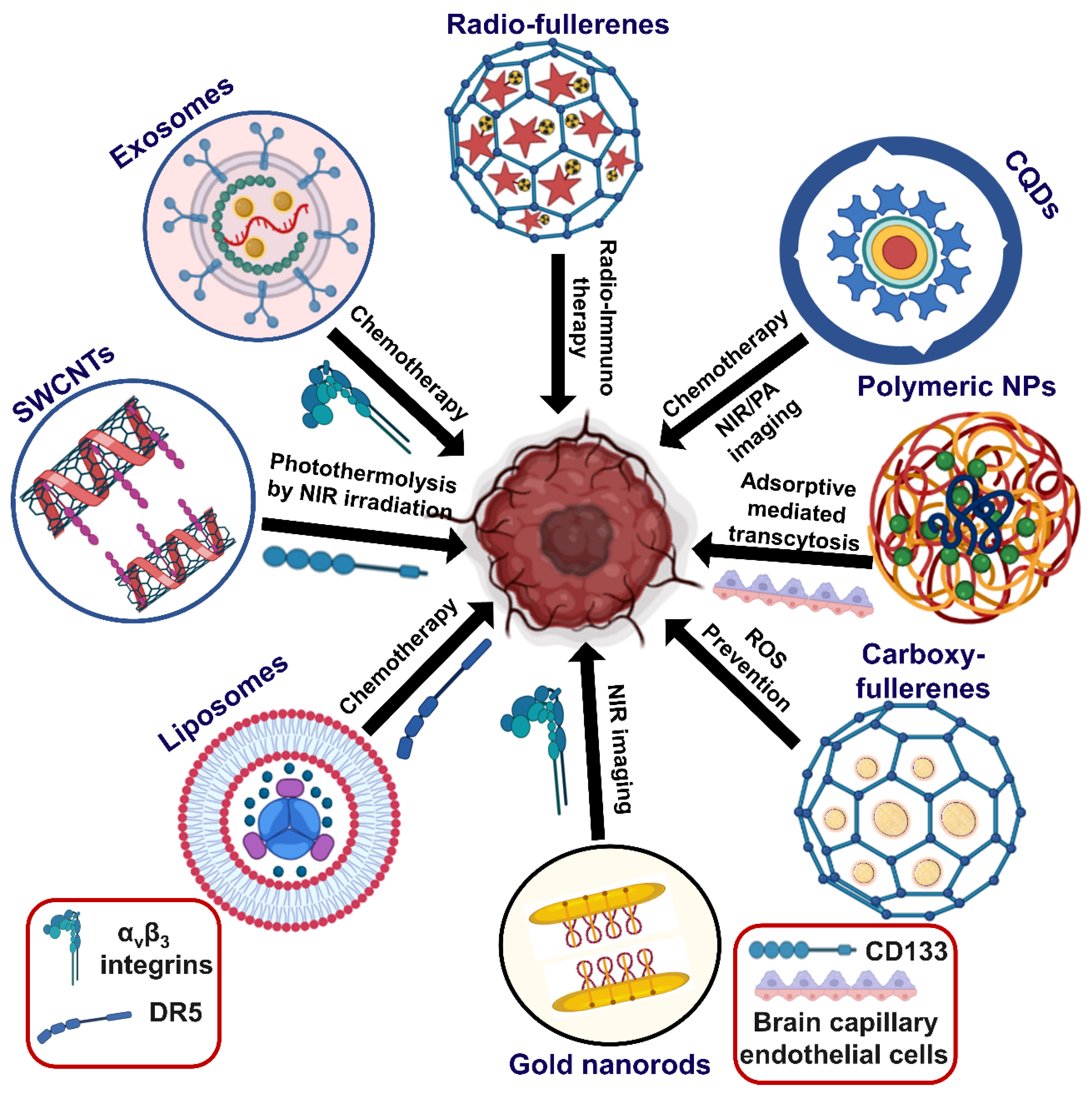 Ijms 23 01641 g004 550