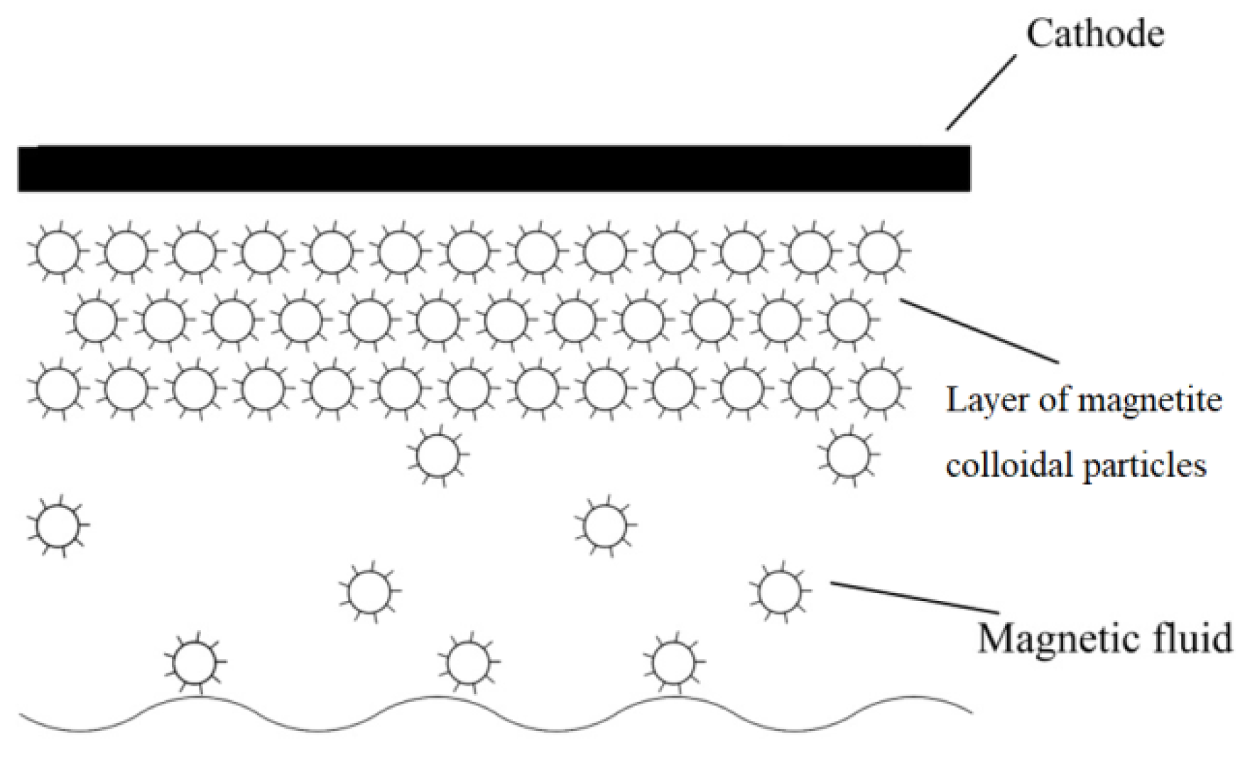 Ijms 23 01642 g002 550