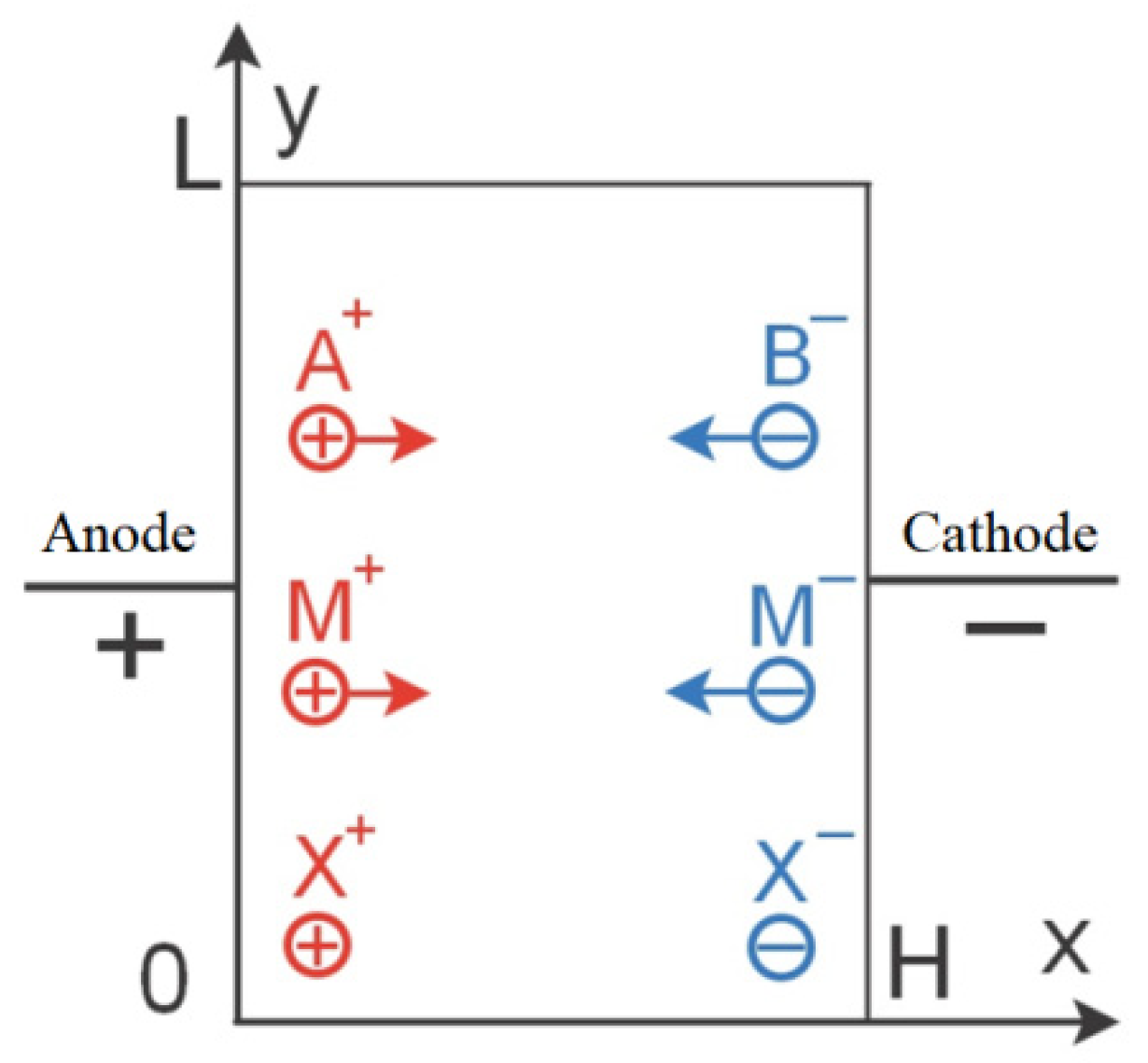 Ijms 23 01642 g003 550