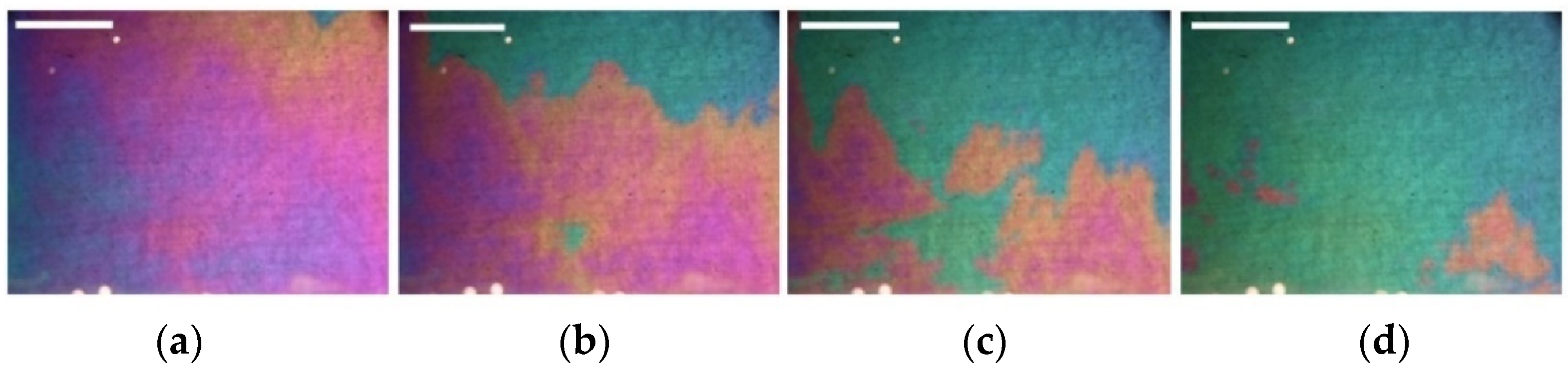 Ijms 23 01642 g004 550