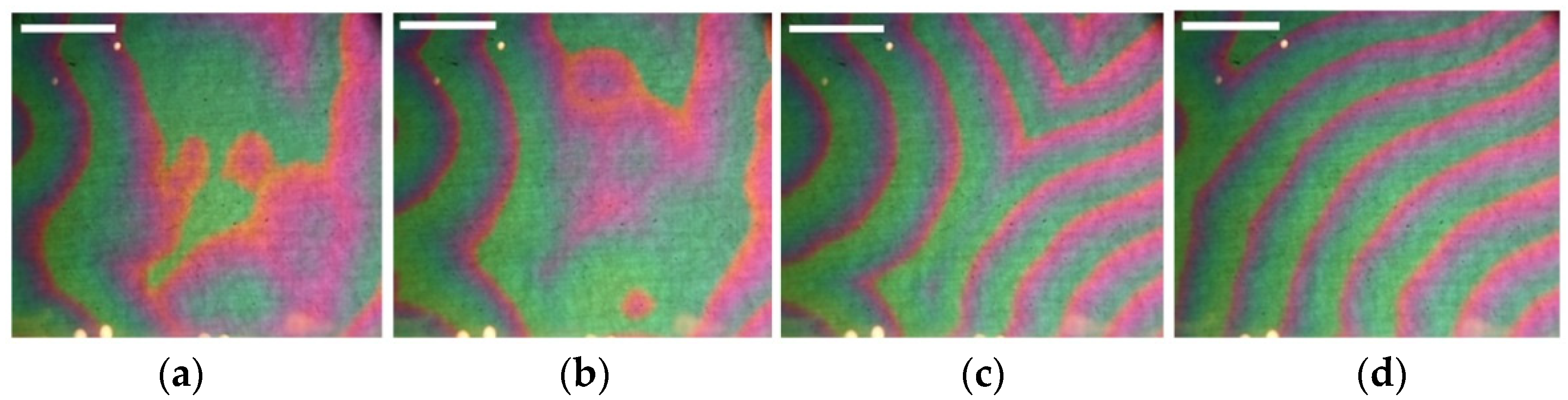 Ijms 23 01642 g005 550