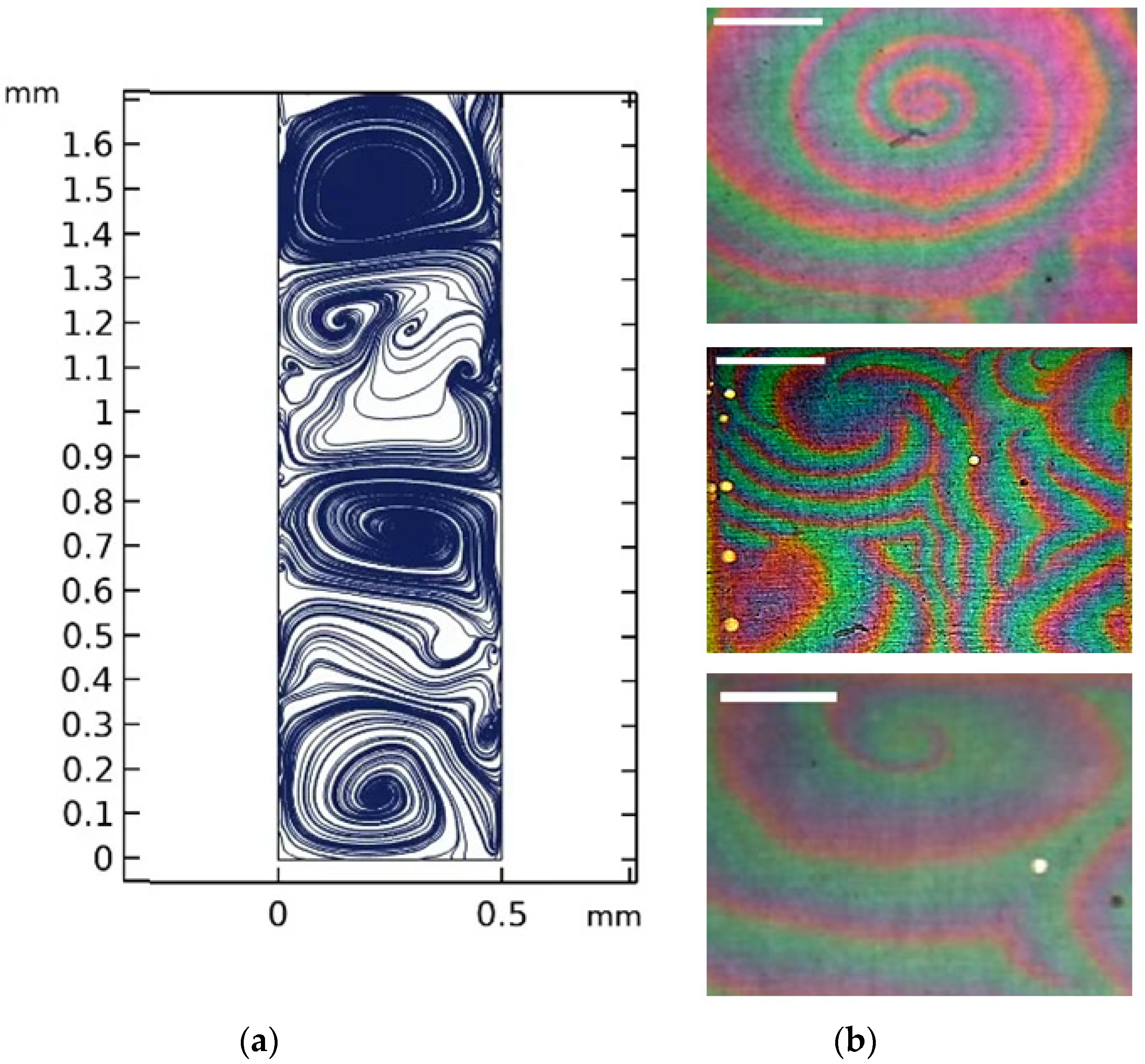 Ijms 23 01642 g014 550