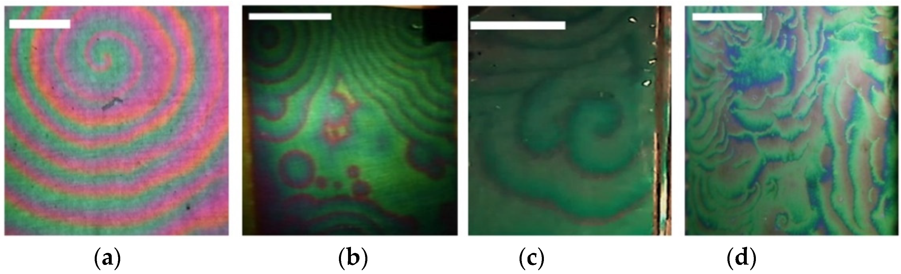 Ijms 23 01642 g017 550