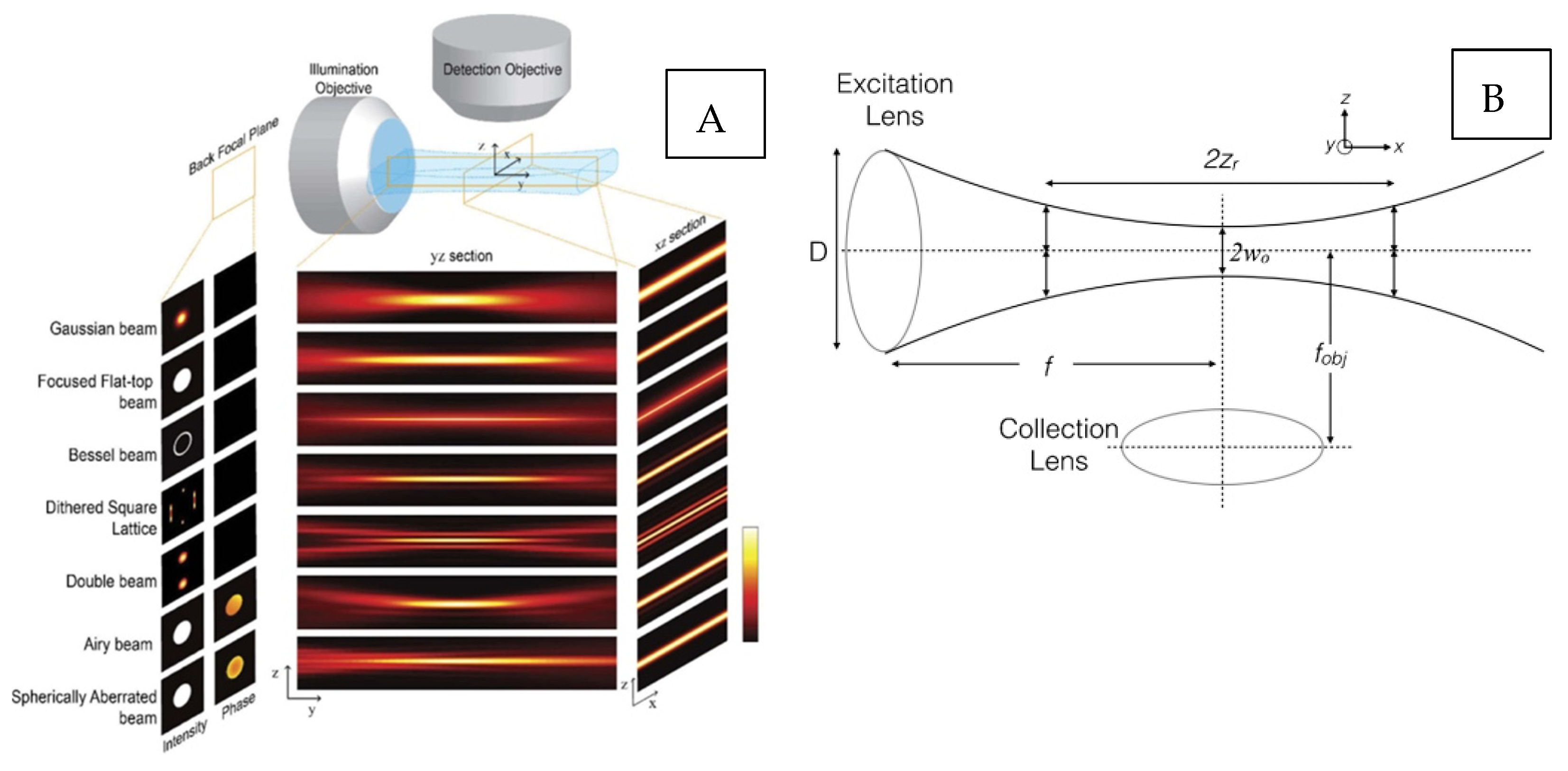 Ijms 23 01643 g001 550