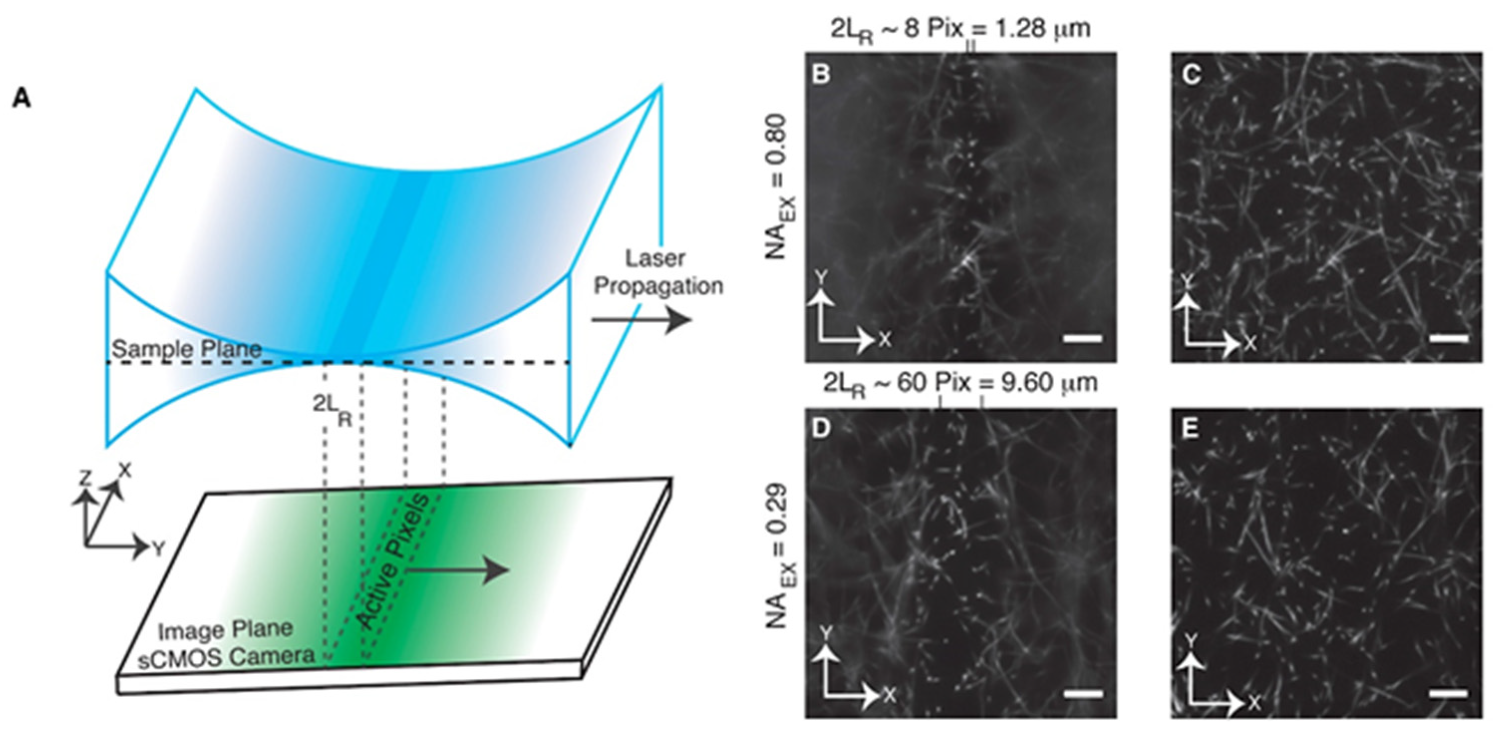 Ijms 23 01643 g002 550