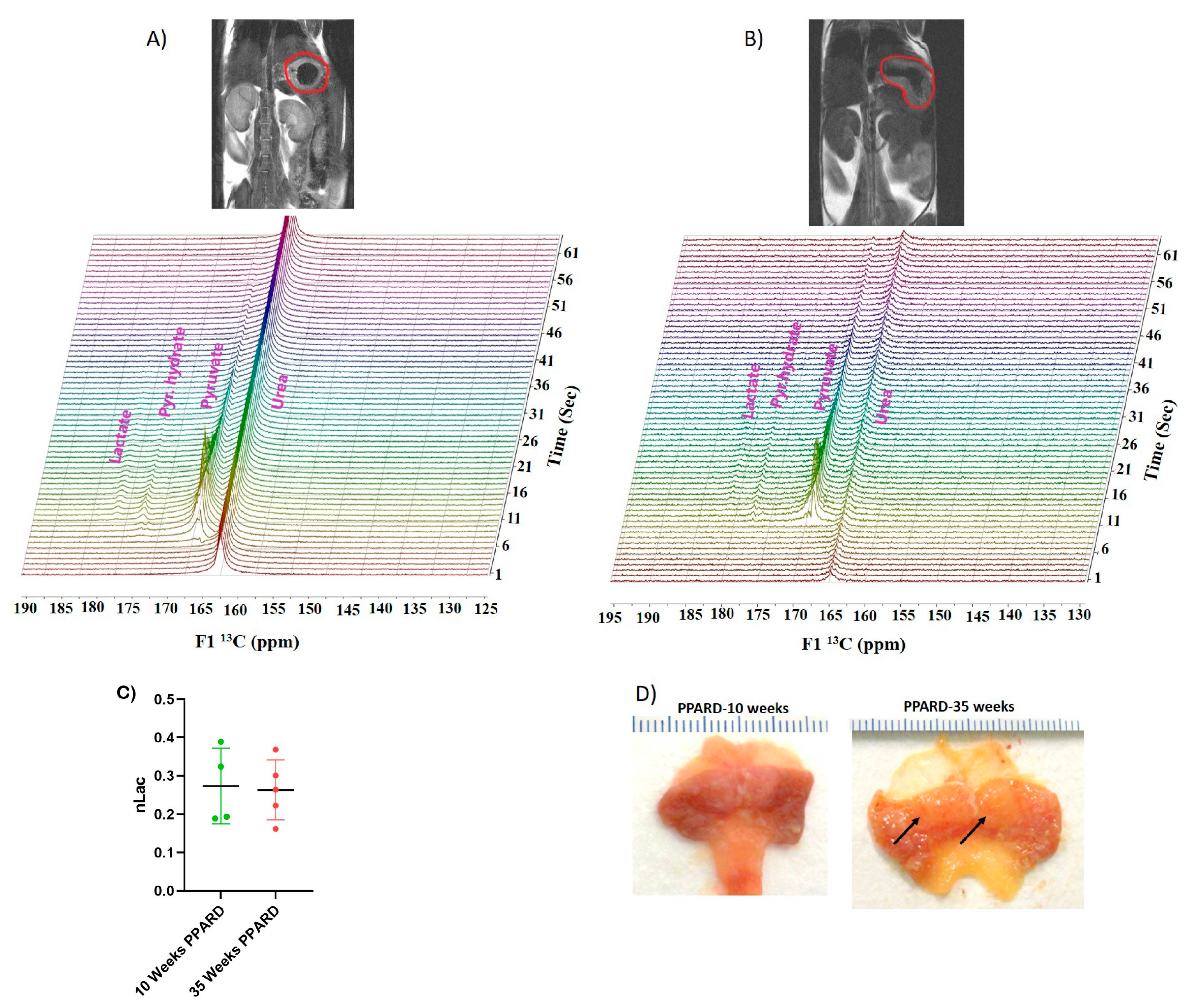 Ijms 23 01645 g005 Ijms 23 01645 g005