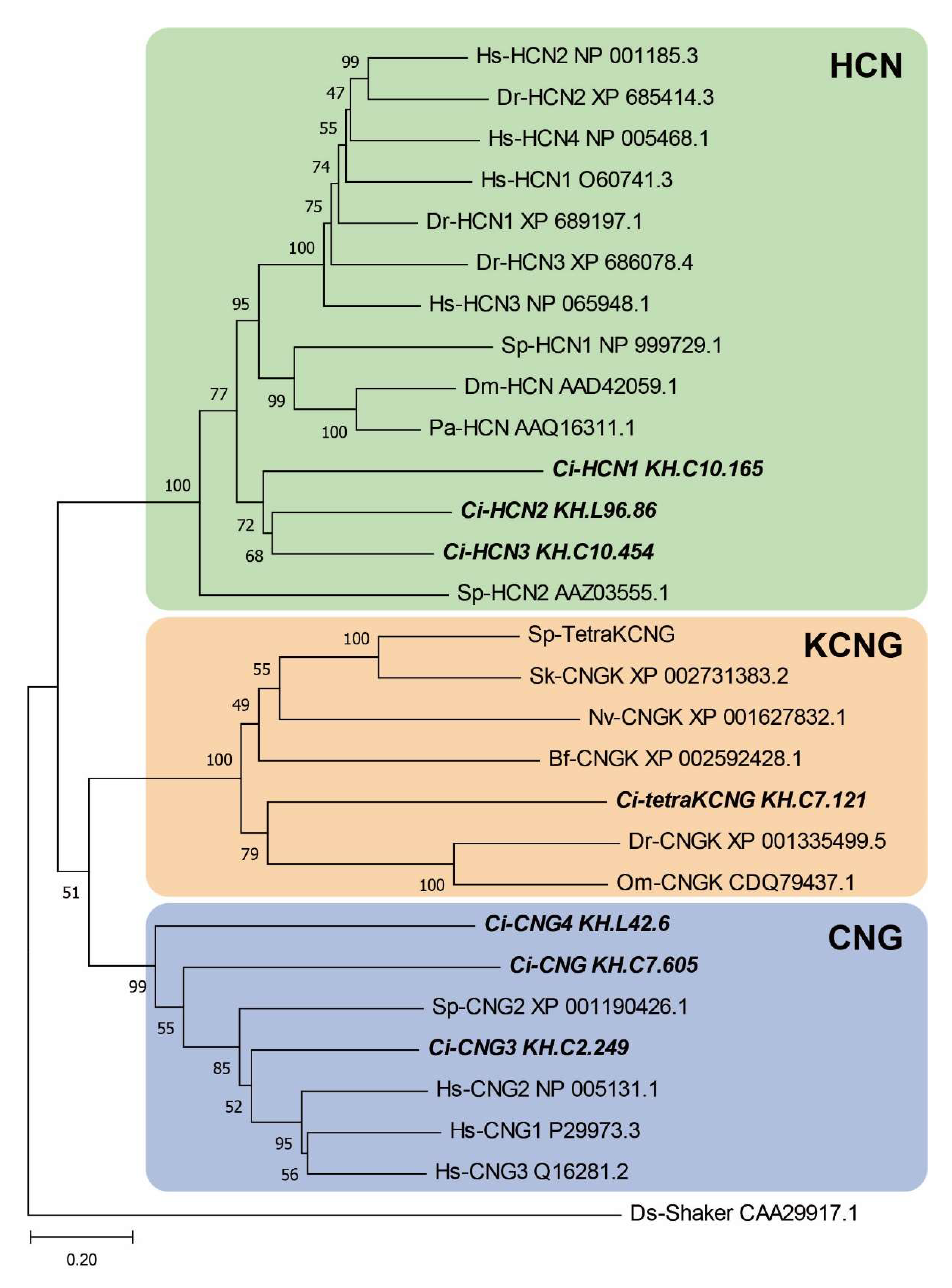 Ijms 23 01648 g001 550