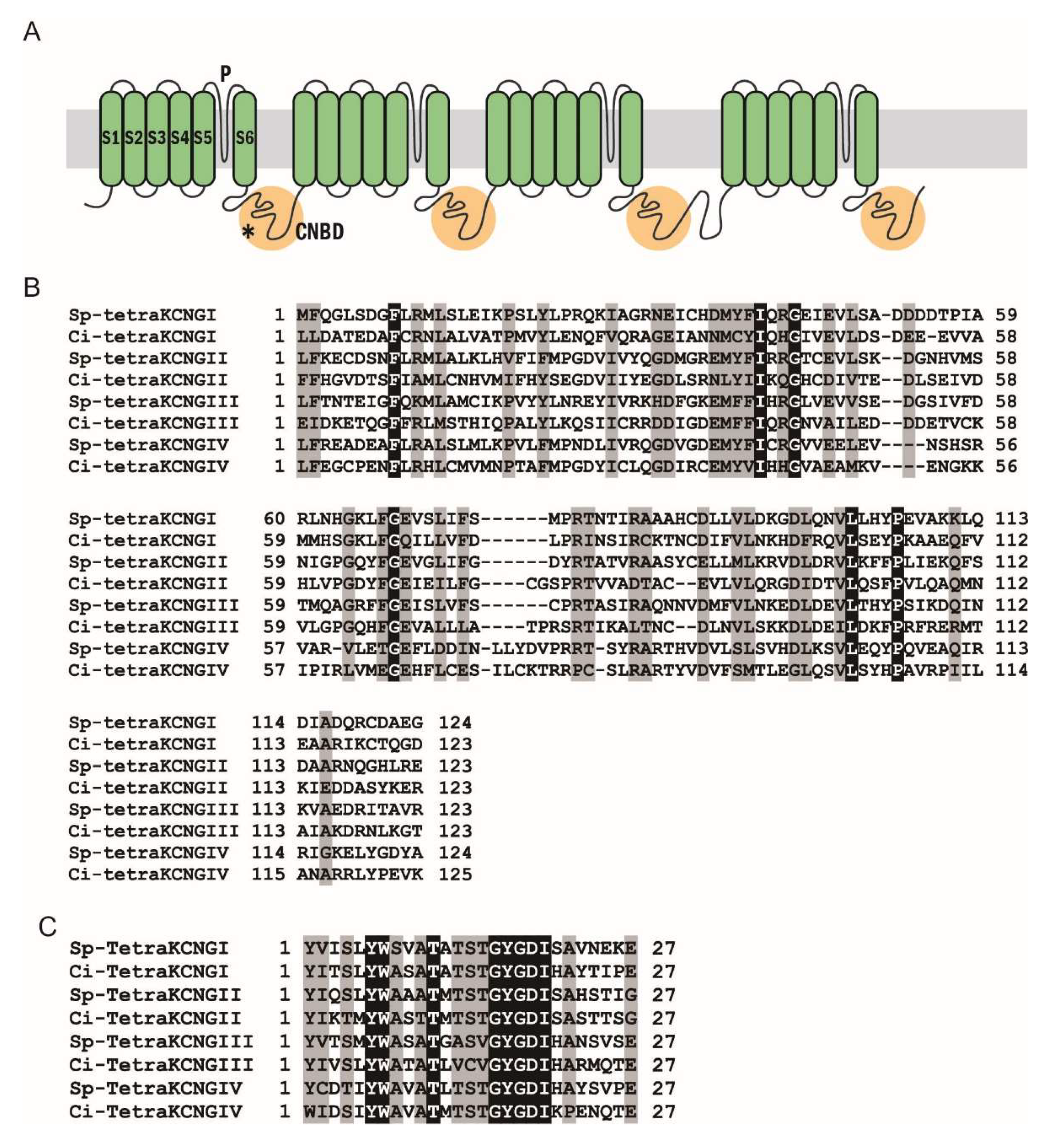 Ijms 23 01648 g002 550