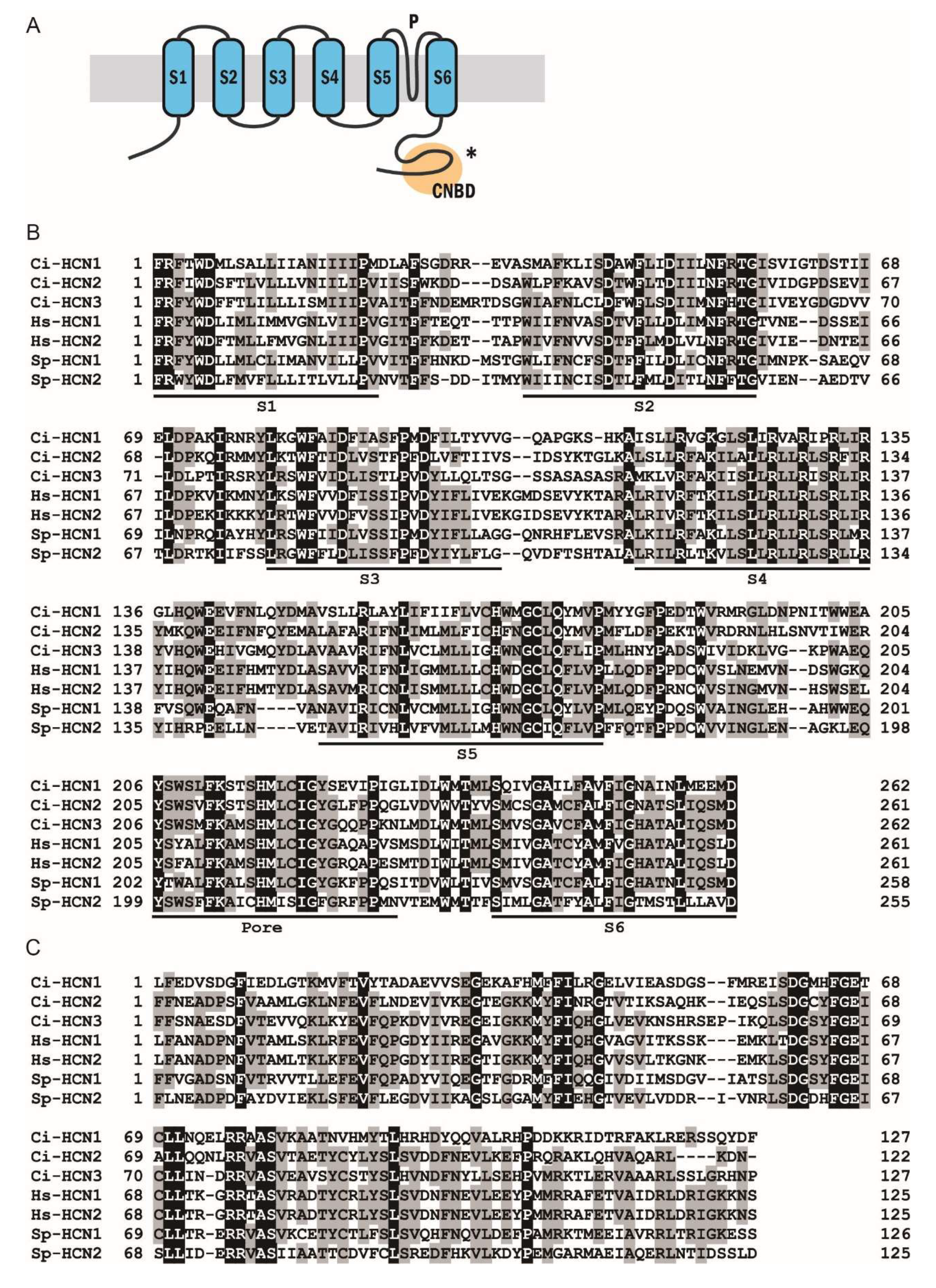Ijms 23 01648 g003 550