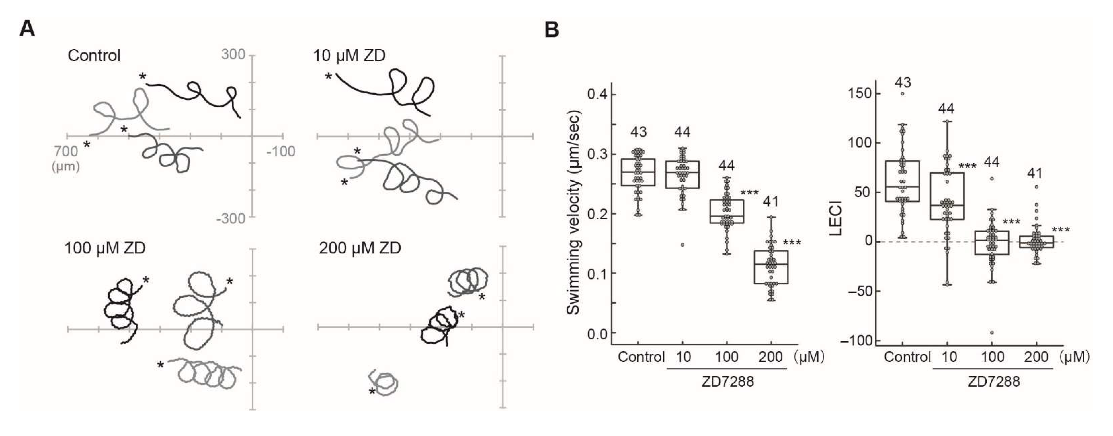 Ijms 23 01648 g006 550