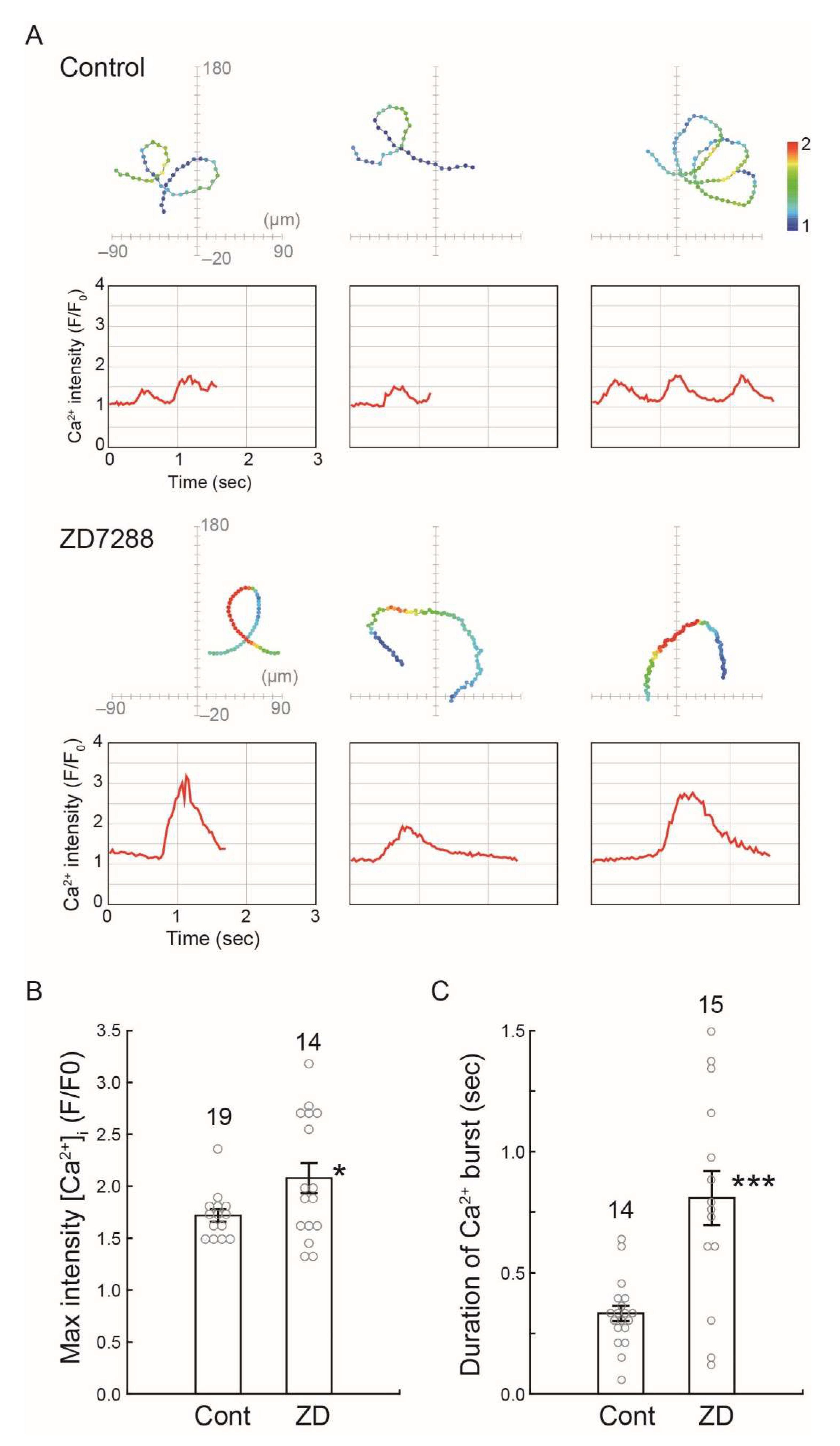 Ijms 23 01648 g007 550