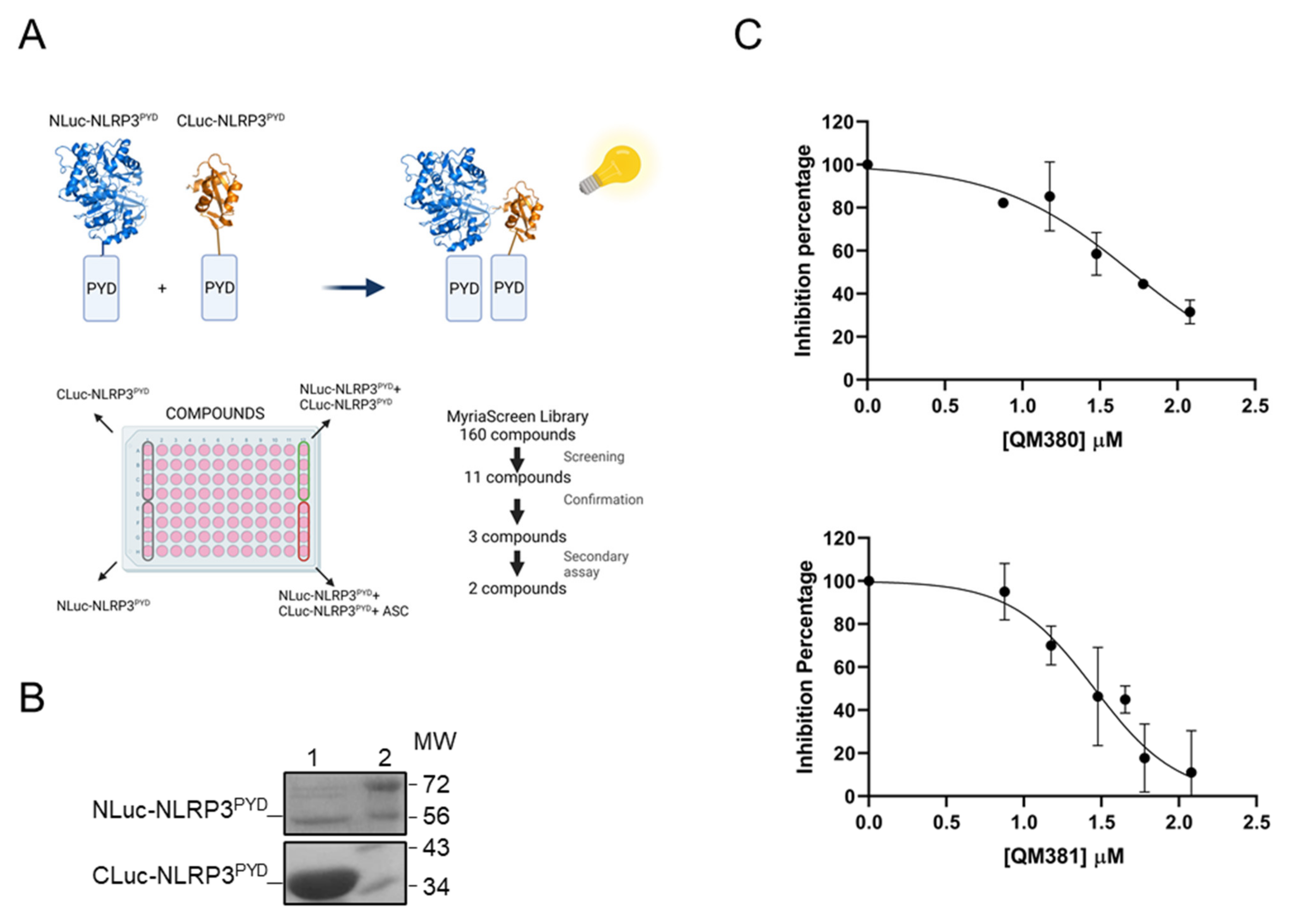 Ijms 23 01651 g001 550