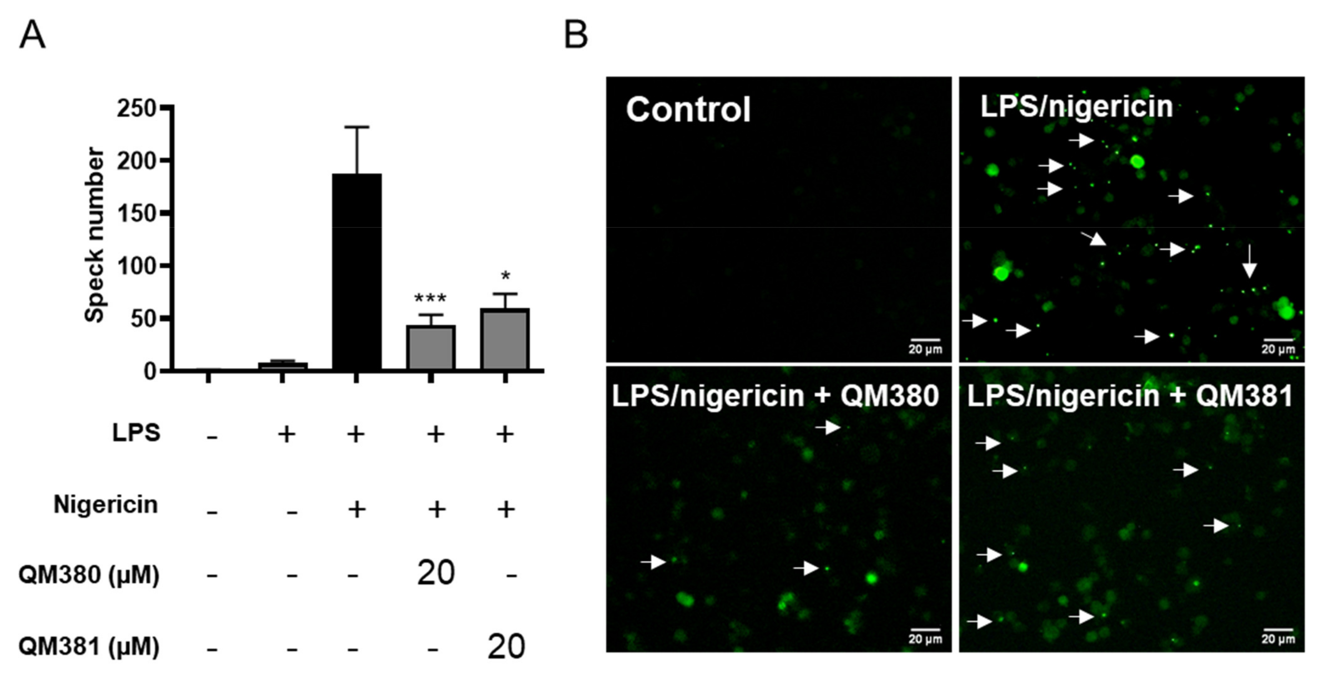 Ijms 23 01651 g004 550