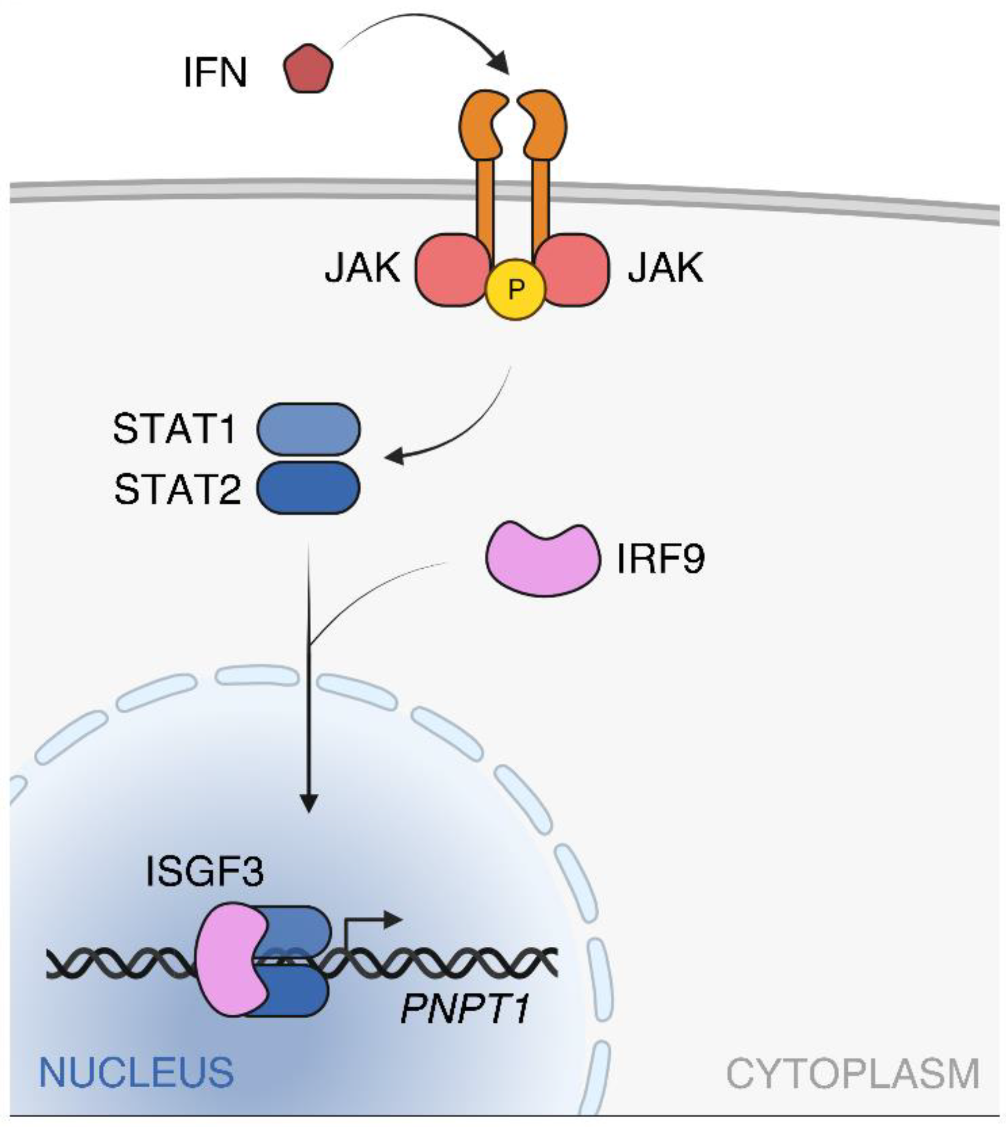 Ijms 23 01652 g001 Ijms 23 01652 g001