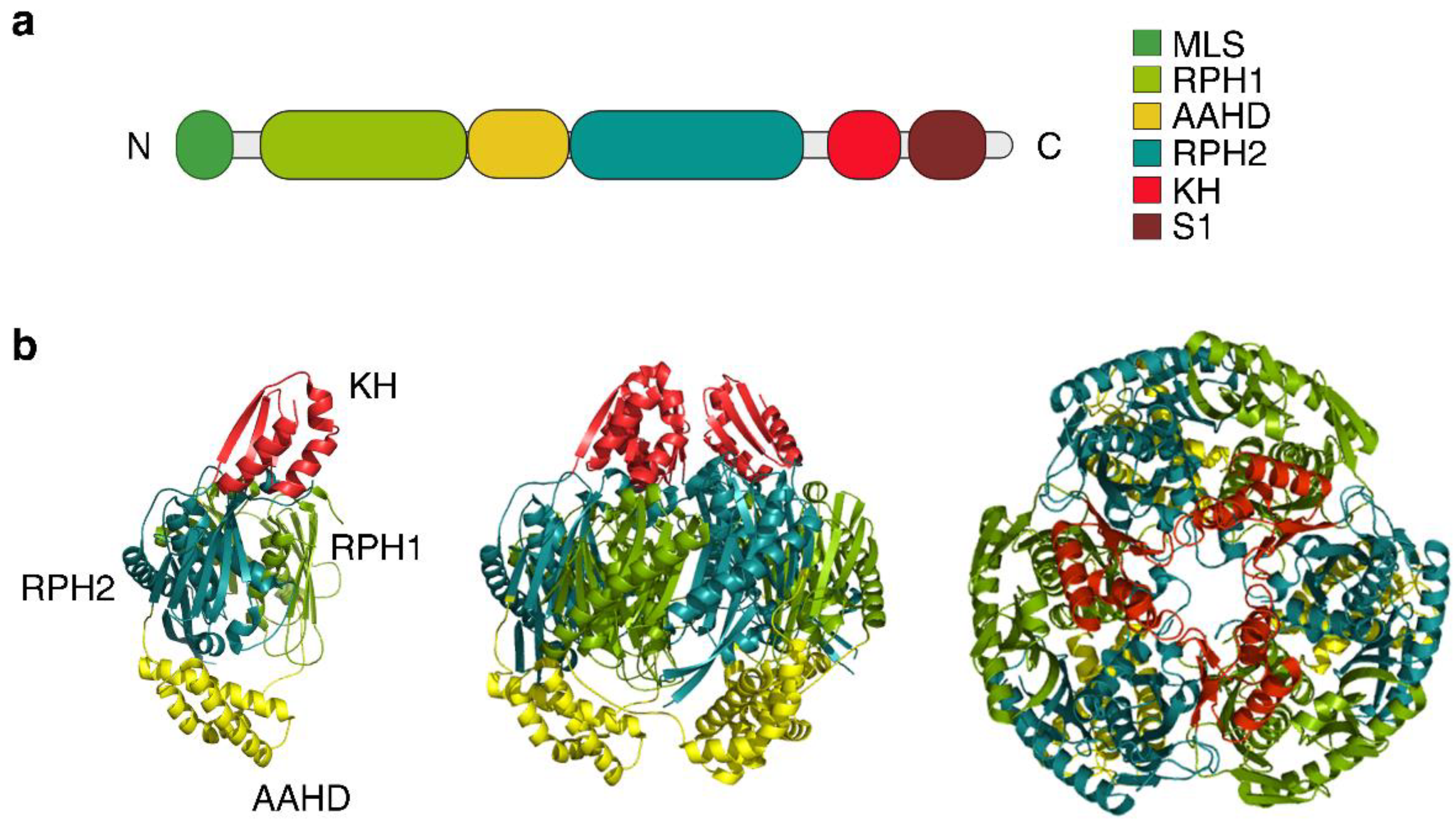 Ijms 23 01652 g002 Ijms 23 01652 g002
