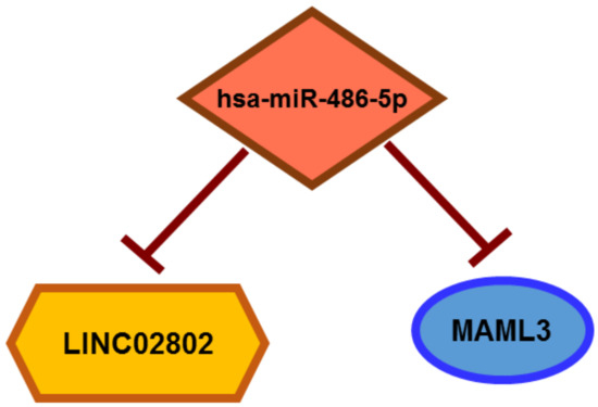 【MIRE LORE】【MARROW LEECH】【デスコア】 Metabolomics-based study of the potential interventional